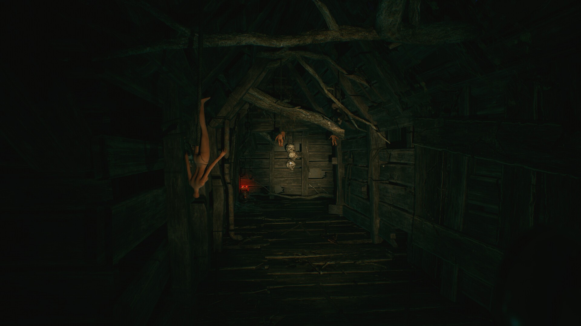 沉没的森林/The Sinking Forest_1