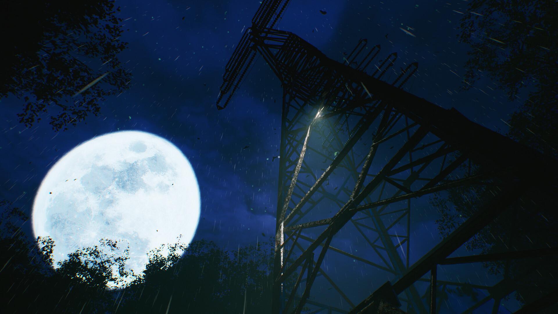 沉没的森林/The Sinking Forest_5