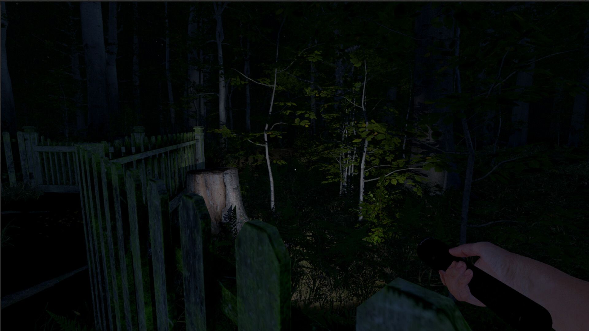 灰人：人类绑架/The Greys: Human Abductions_0