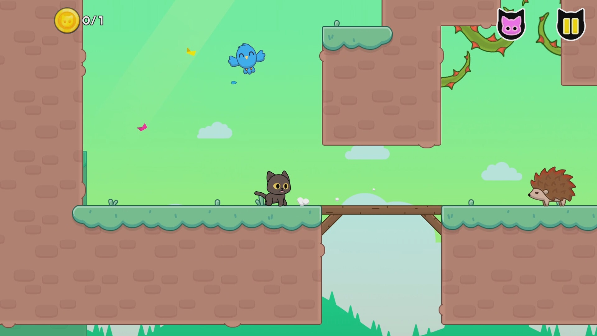 猫咪爱鸟/Kitty Loves Birds_0