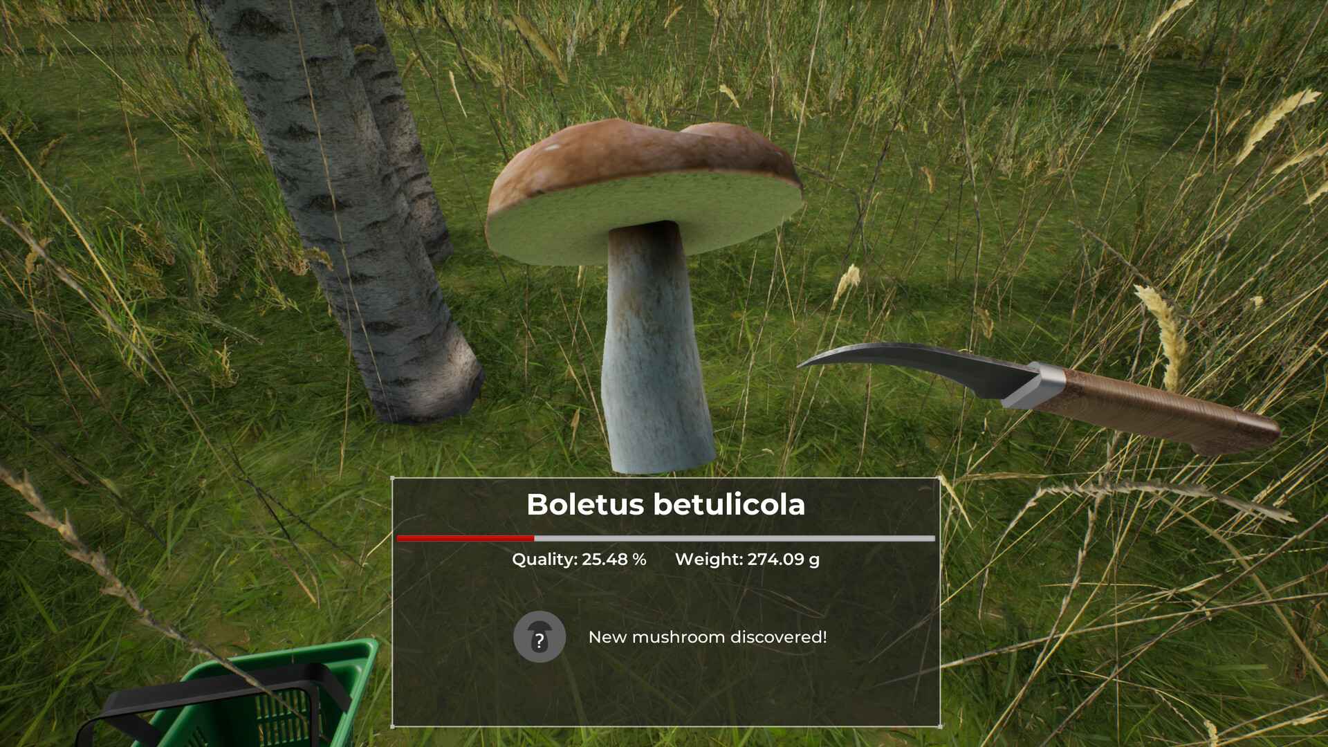 蘑菇猎人世界/Mushroom Hunter World_1