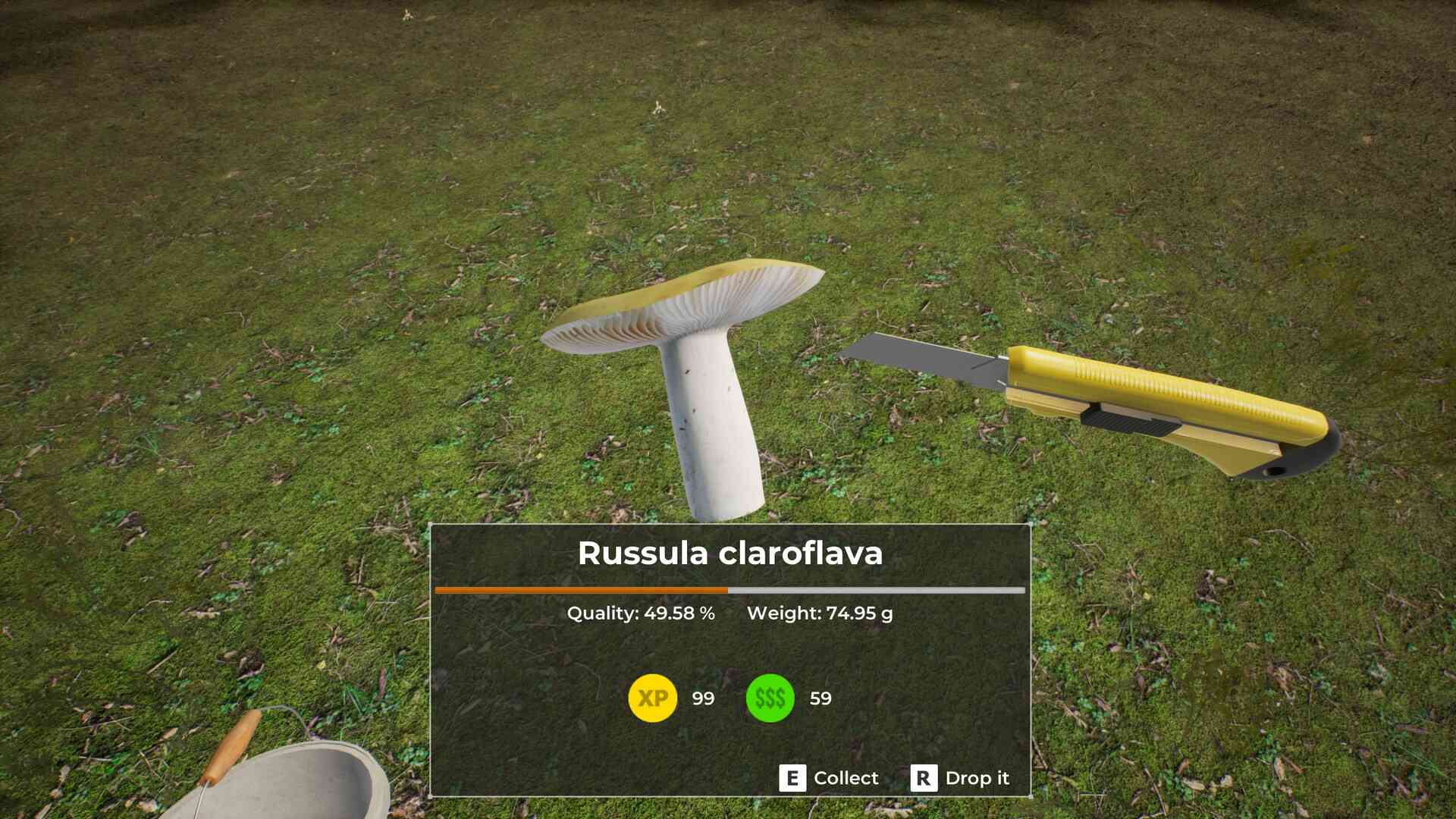 蘑菇猎人世界/Mushroom Hunter World_5