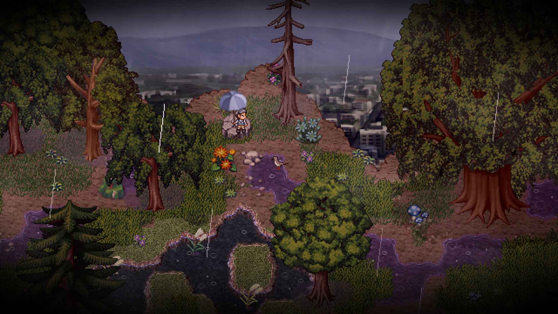 鸟的故事/A Bird Story_3