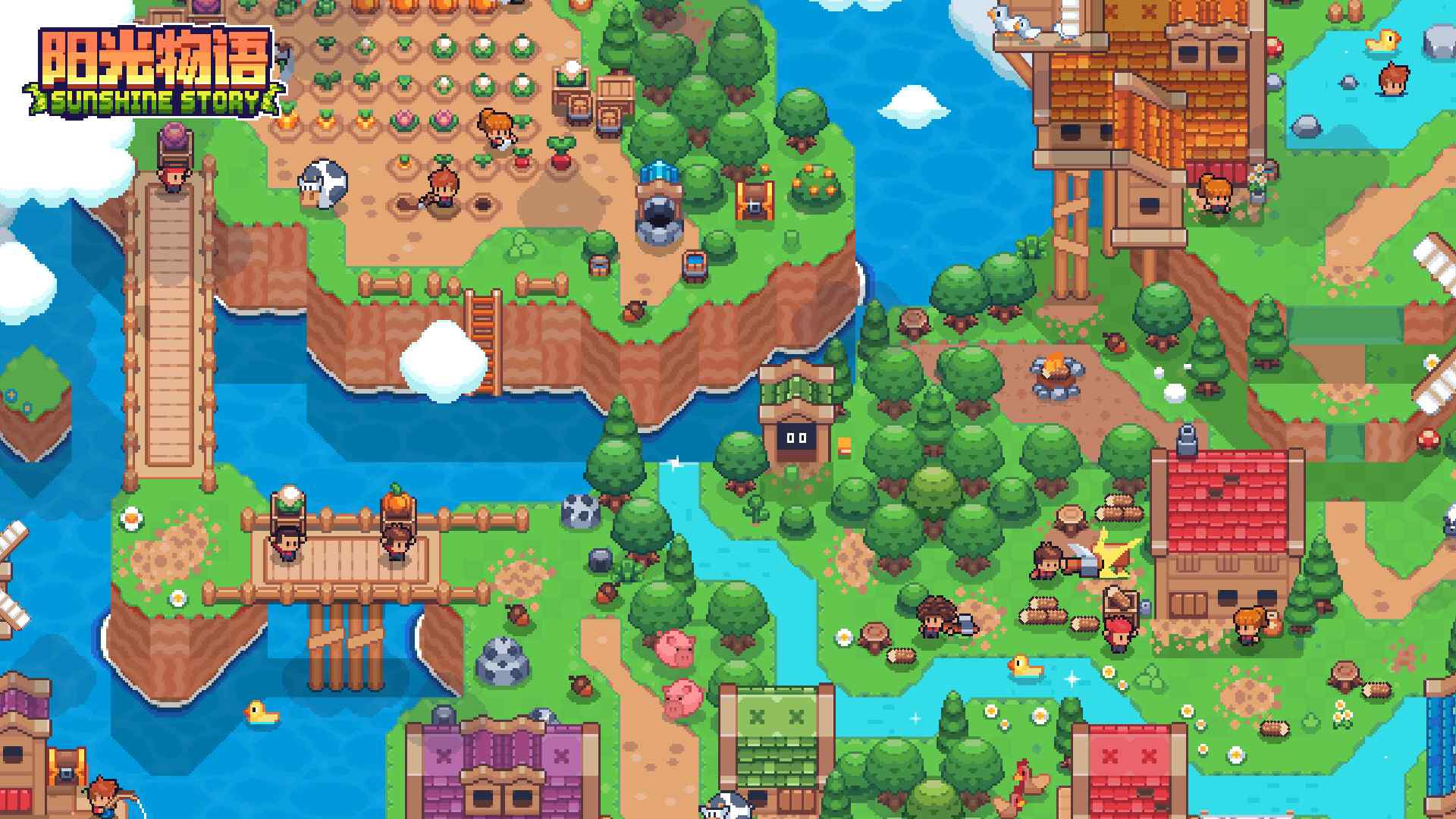 阳光物语/Sunshine Story_3