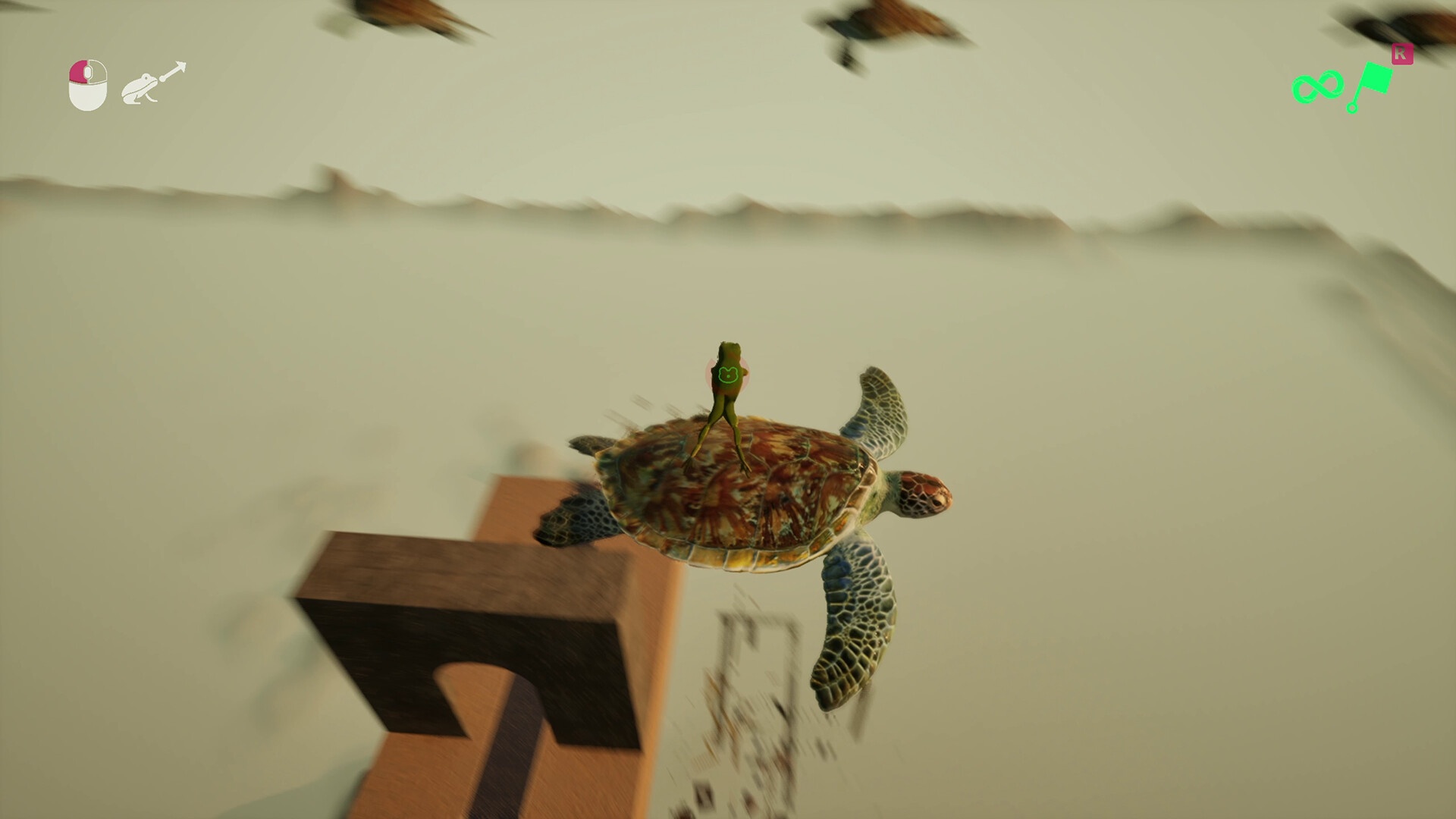 黏舌攀登/Stick Tongue_3