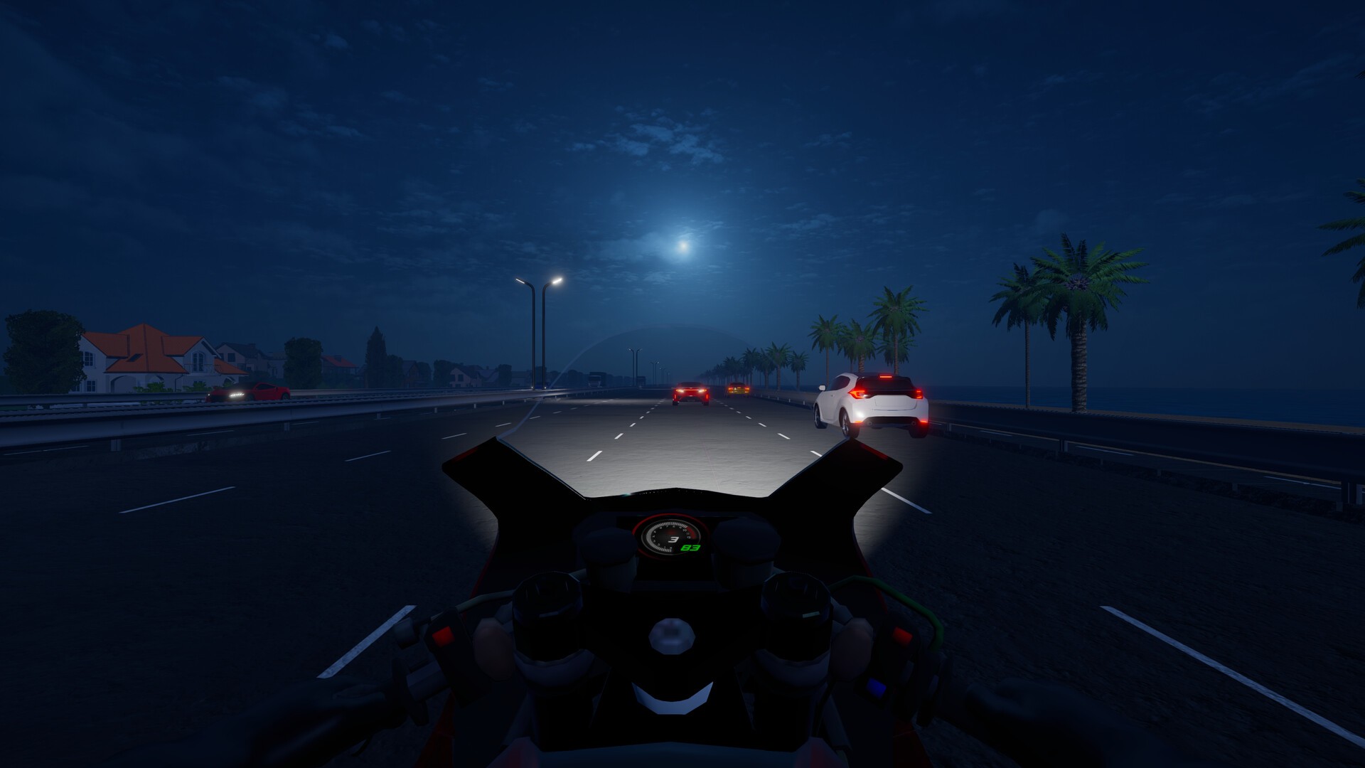 午夜狂飙/Motorcycle Night Ride_3
