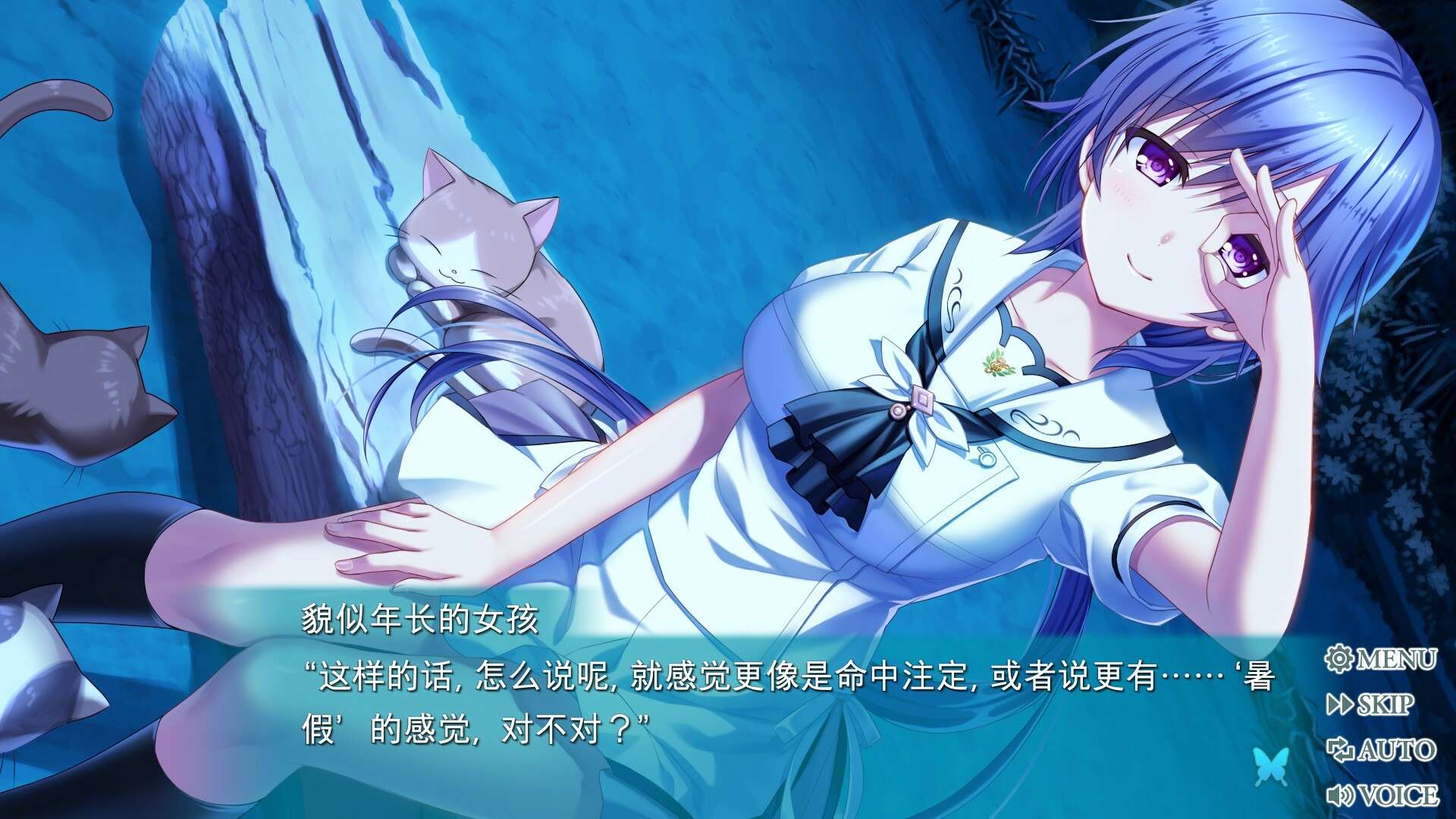 夏日口袋：流光蓝/Summer Pockets REFLECTION BLUE_5