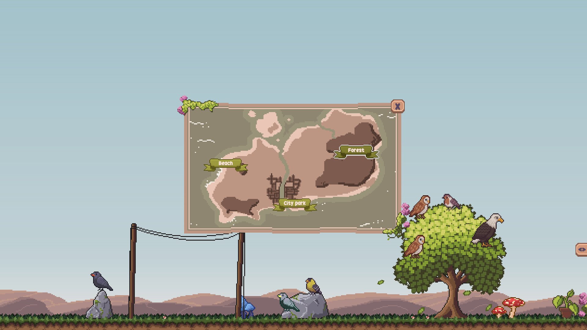 桌面鸟舍：小小鸟陪你摸大鱼/Little Aviary_3