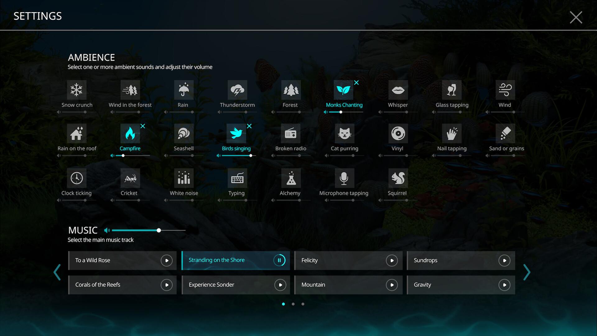 禅意水族馆/Zen Aquarium_3