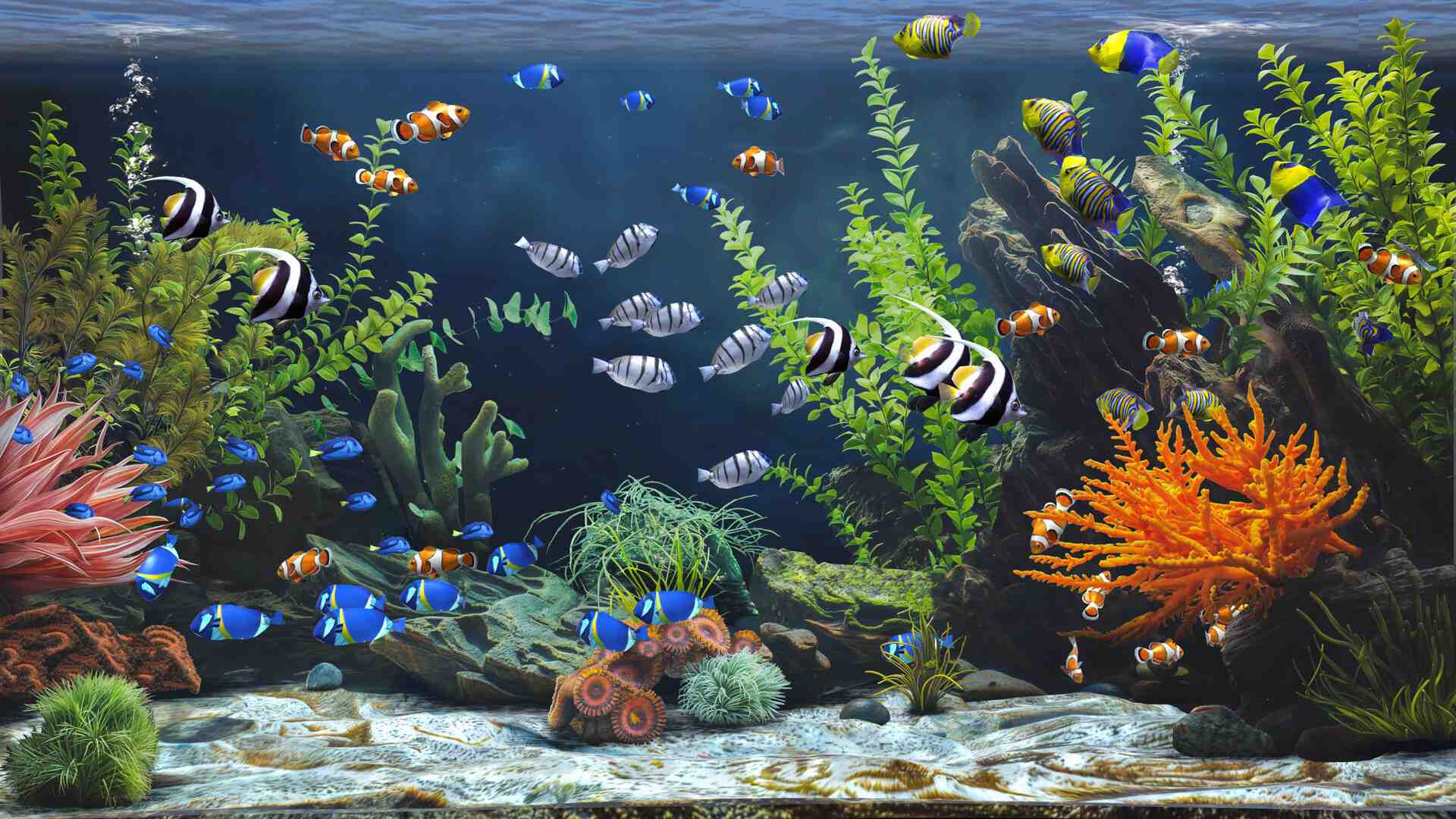 禅意水族馆/Zen Aquarium_5