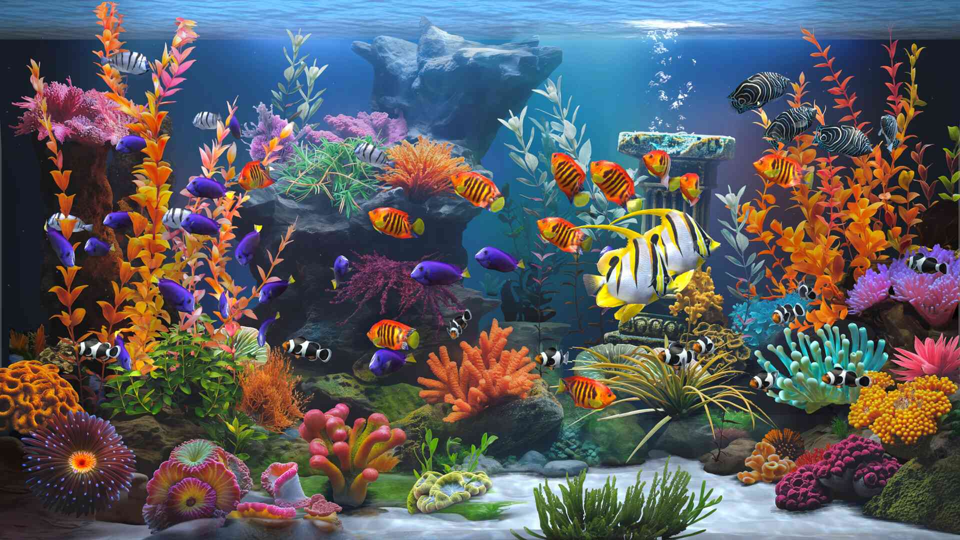 禅意水族馆/Zen Aquarium_0