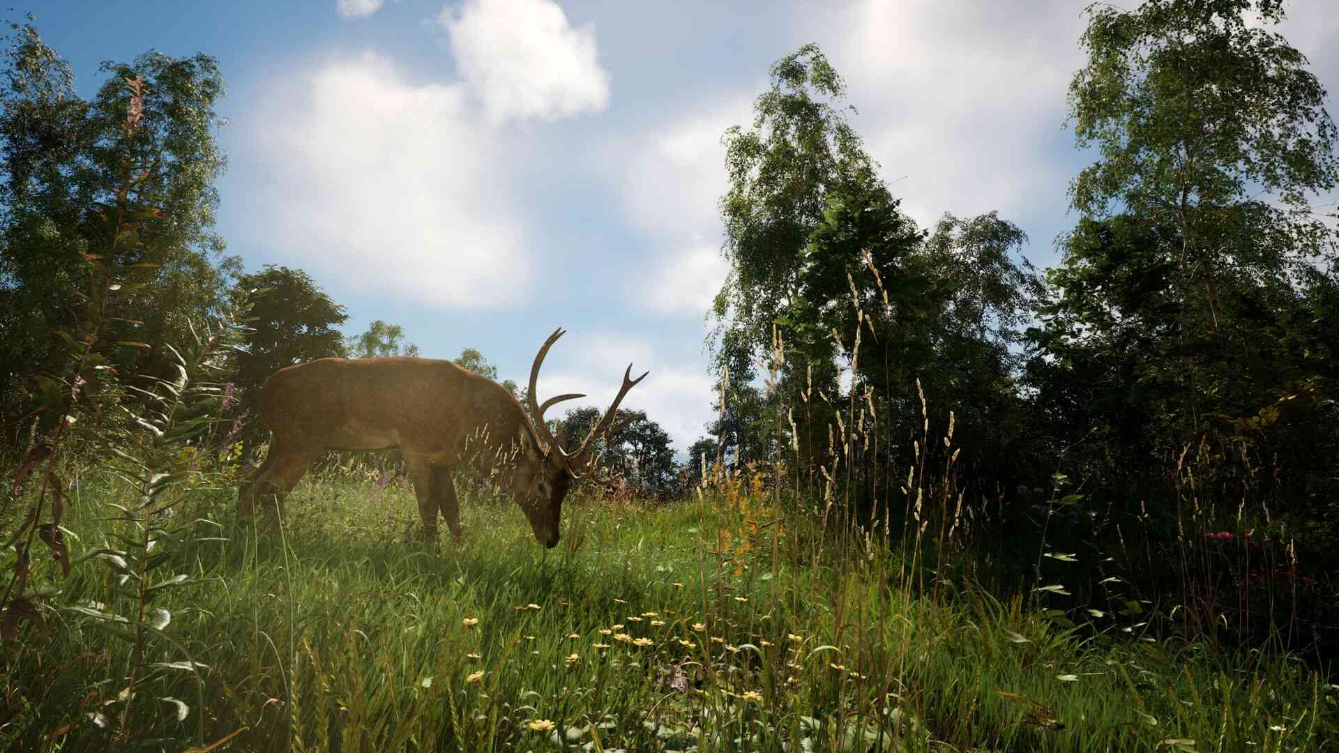 恐惧地带/DREADZONE_3