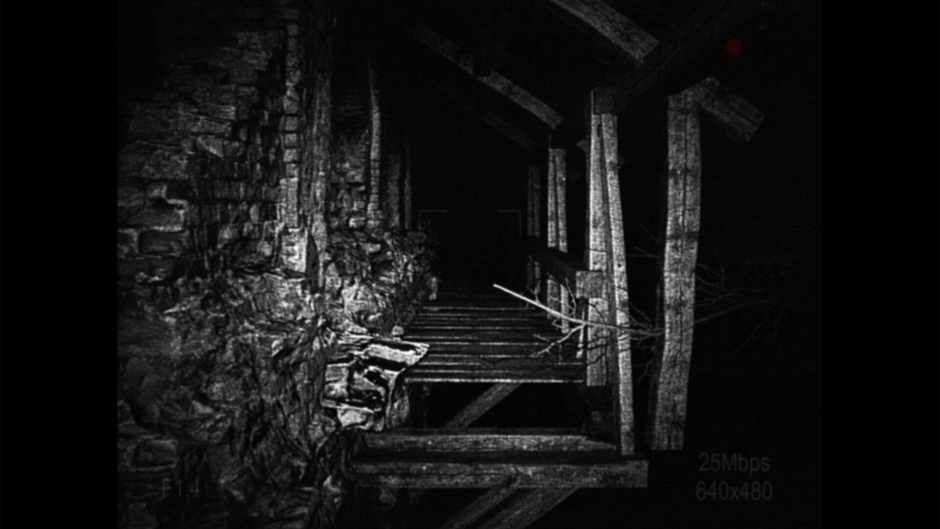 [录制] 荒芜/[REC] Desolation_4