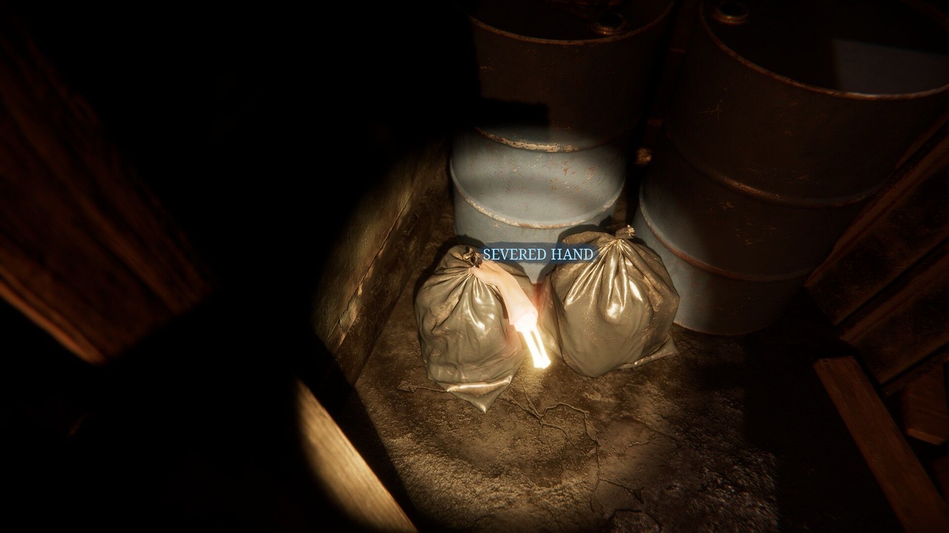 这是约翰的房子/It's John's House_1