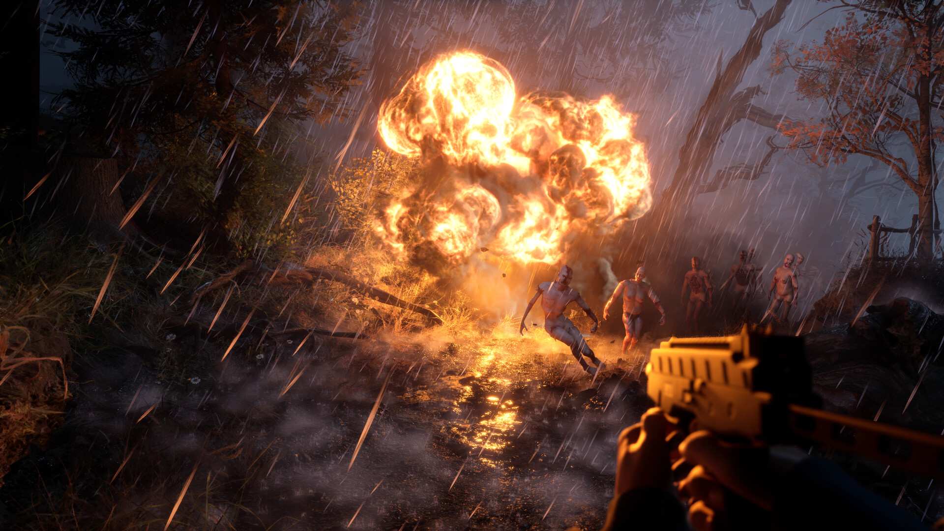 荒凉避难所/Bleak Haven_1