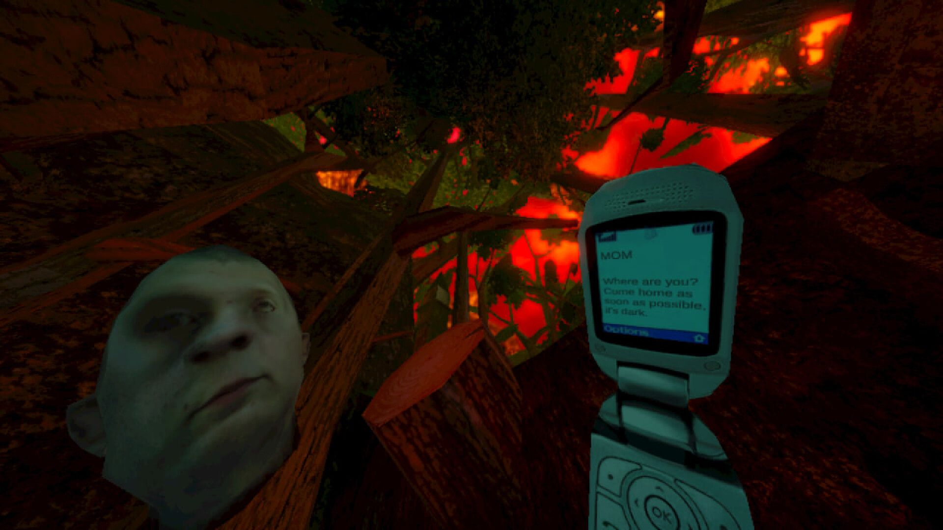 暴煞狂想2/Violent Horror Stories 2_0