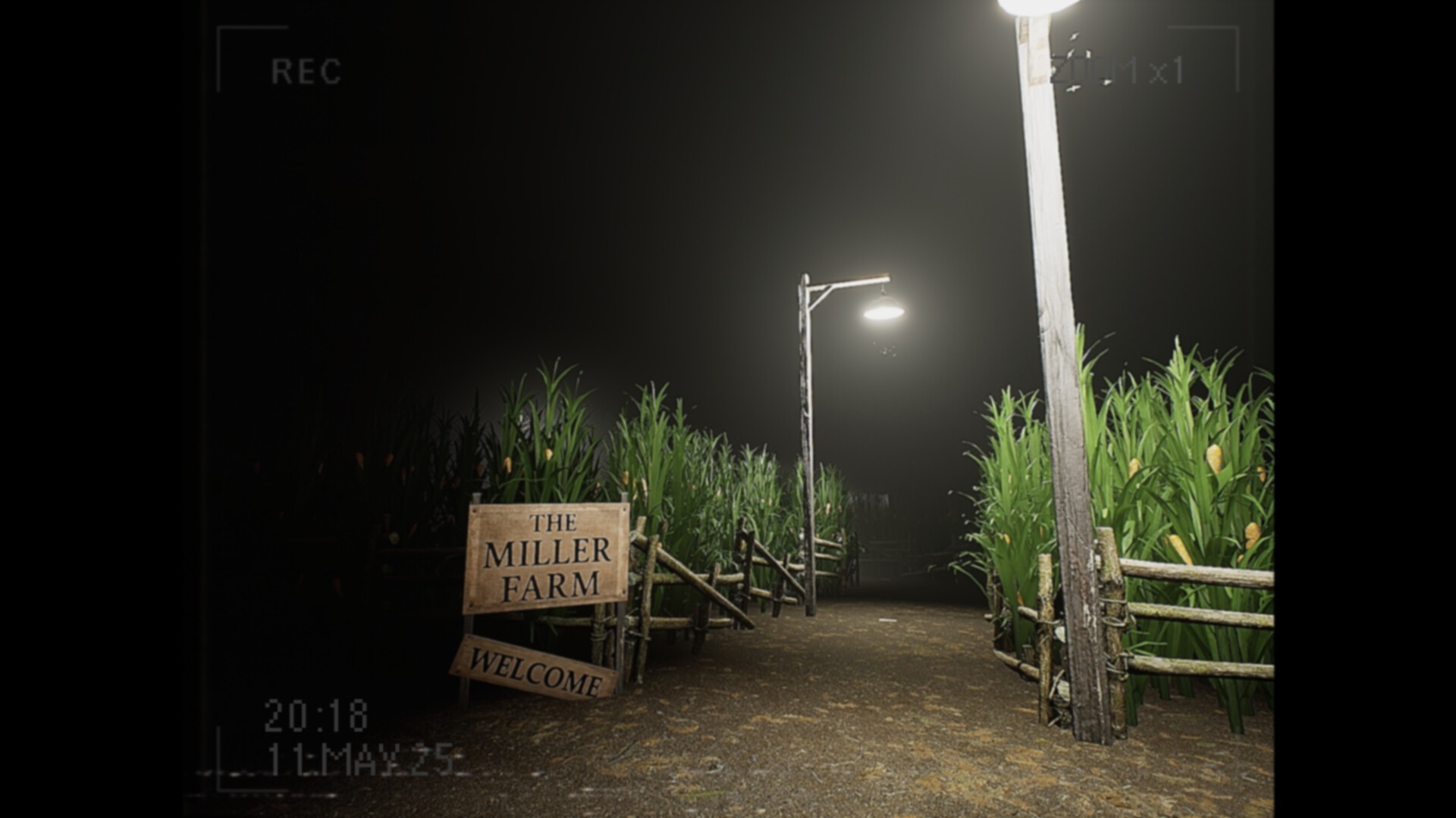 莉莉出了什么事？/What Happened to Lily?_3