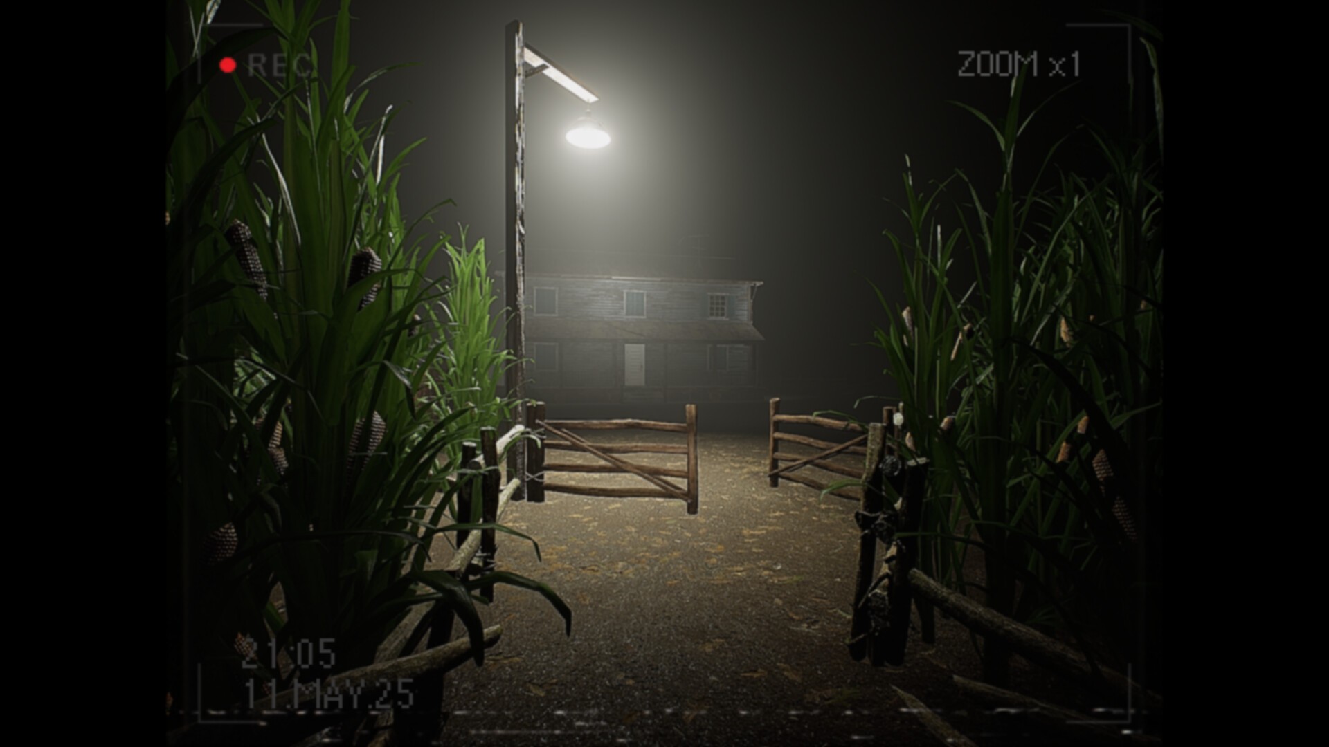 莉莉出了什么事？/What Happened to Lily?_1