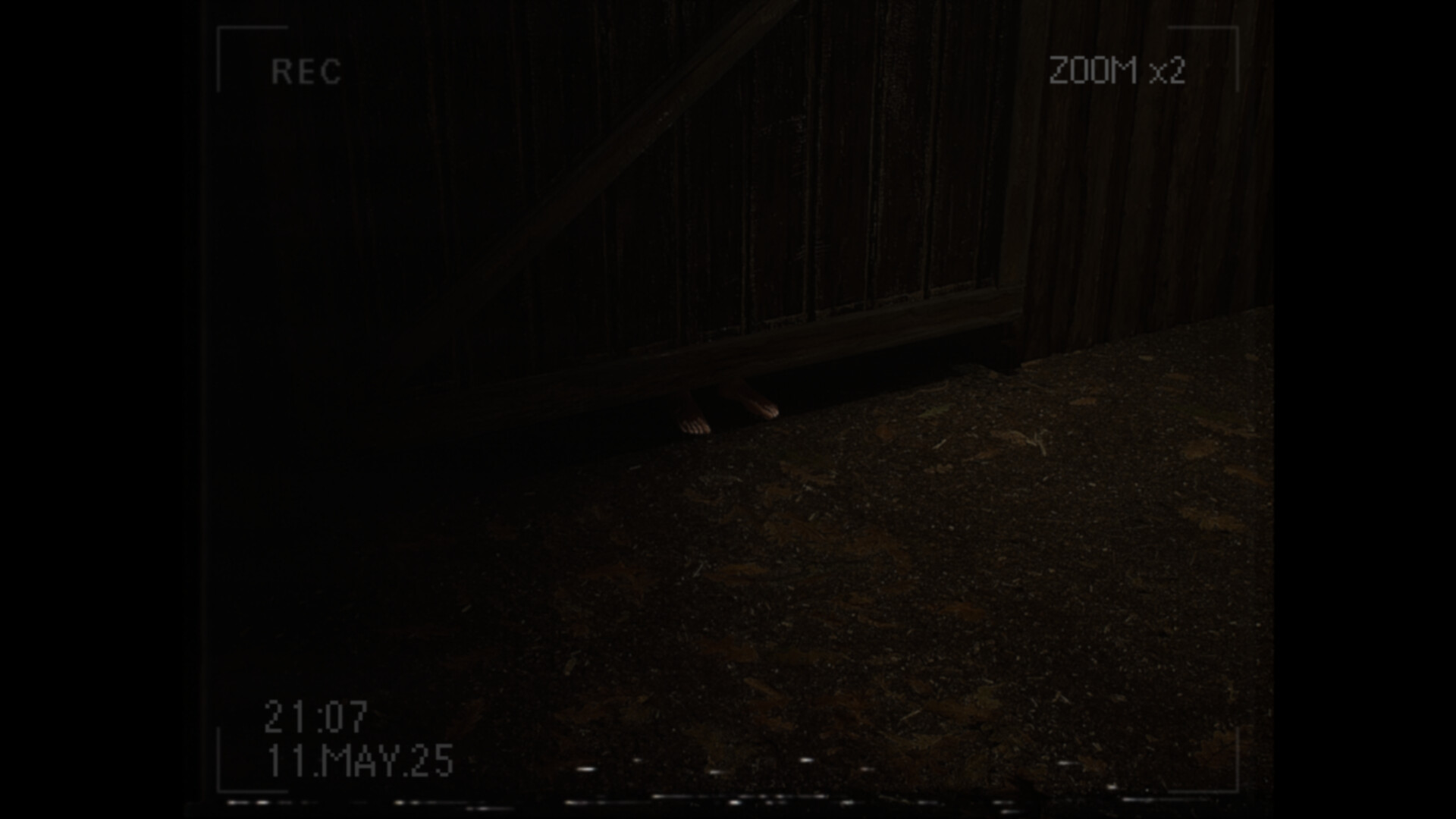 莉莉出了什么事？/What Happened to Lily?_4