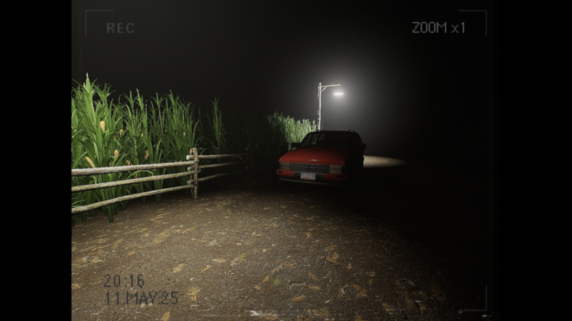 莉莉出了什么事？/What Happened to Lily?_0