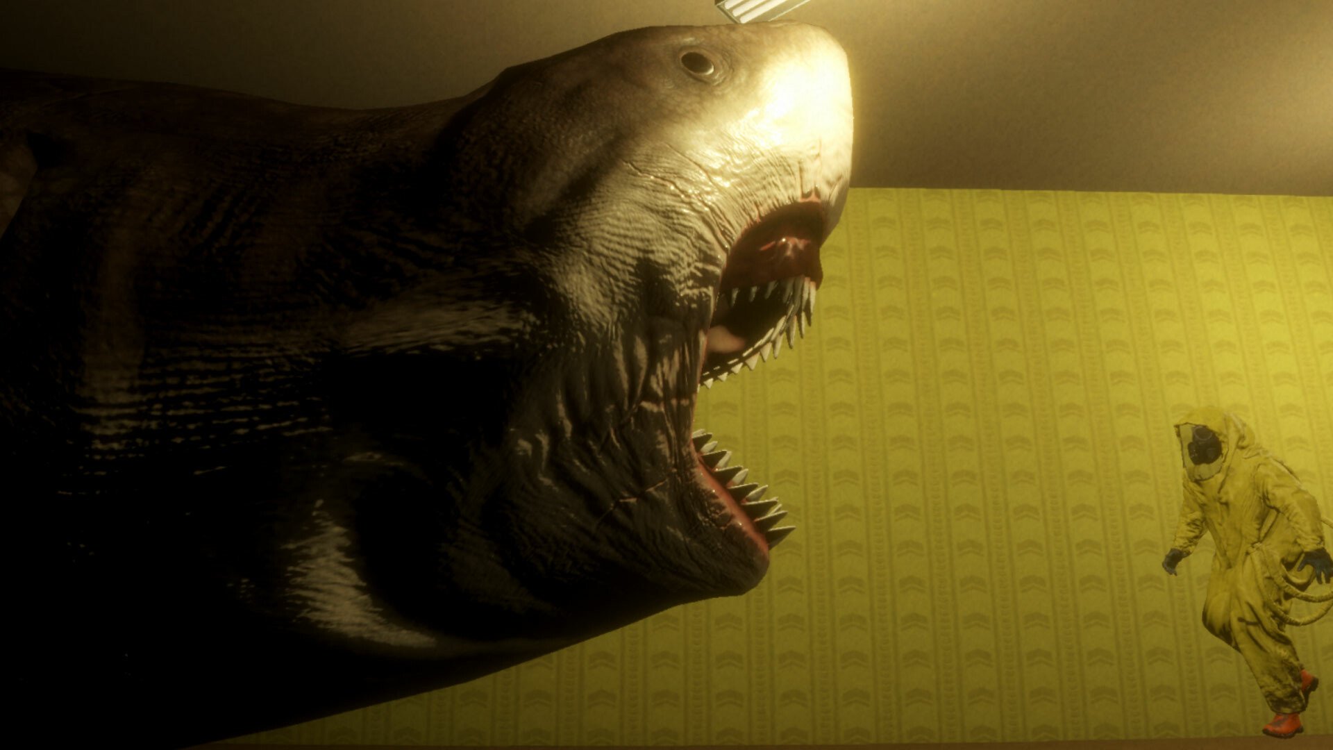 后室循环/BACKROOM LOOP_0