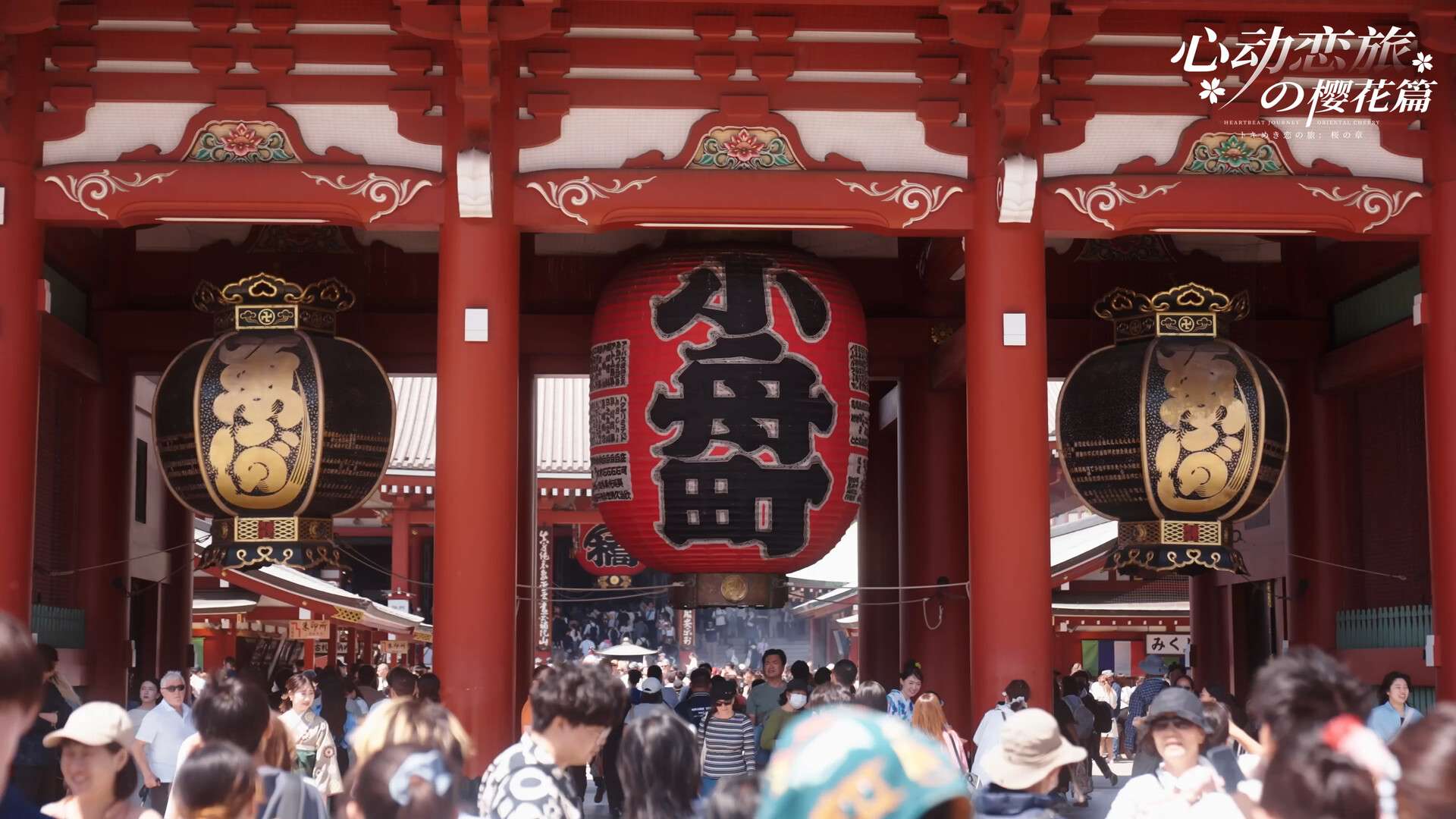 心动恋旅：樱花篇/Blossom Voyage_4