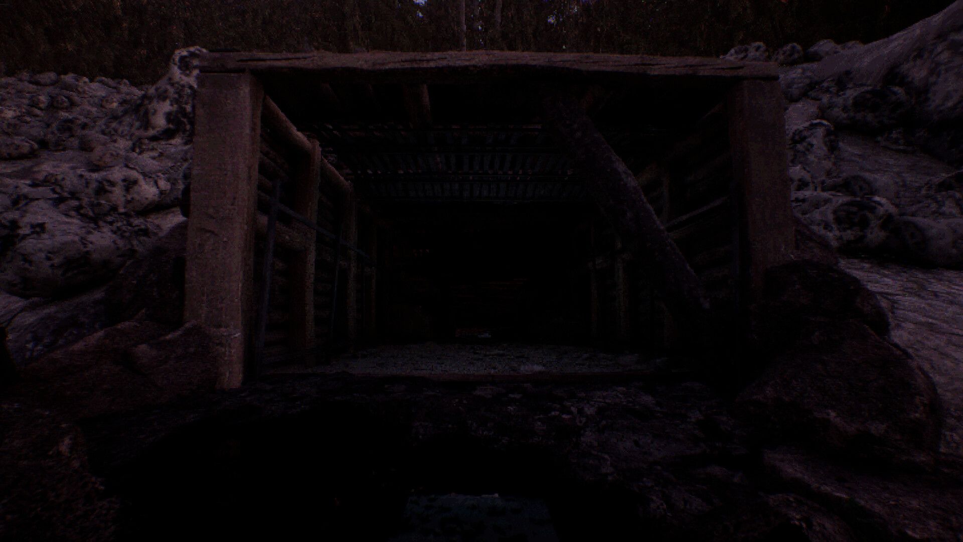 凝视之林：虱子/The Watching Woods: The Louse_4