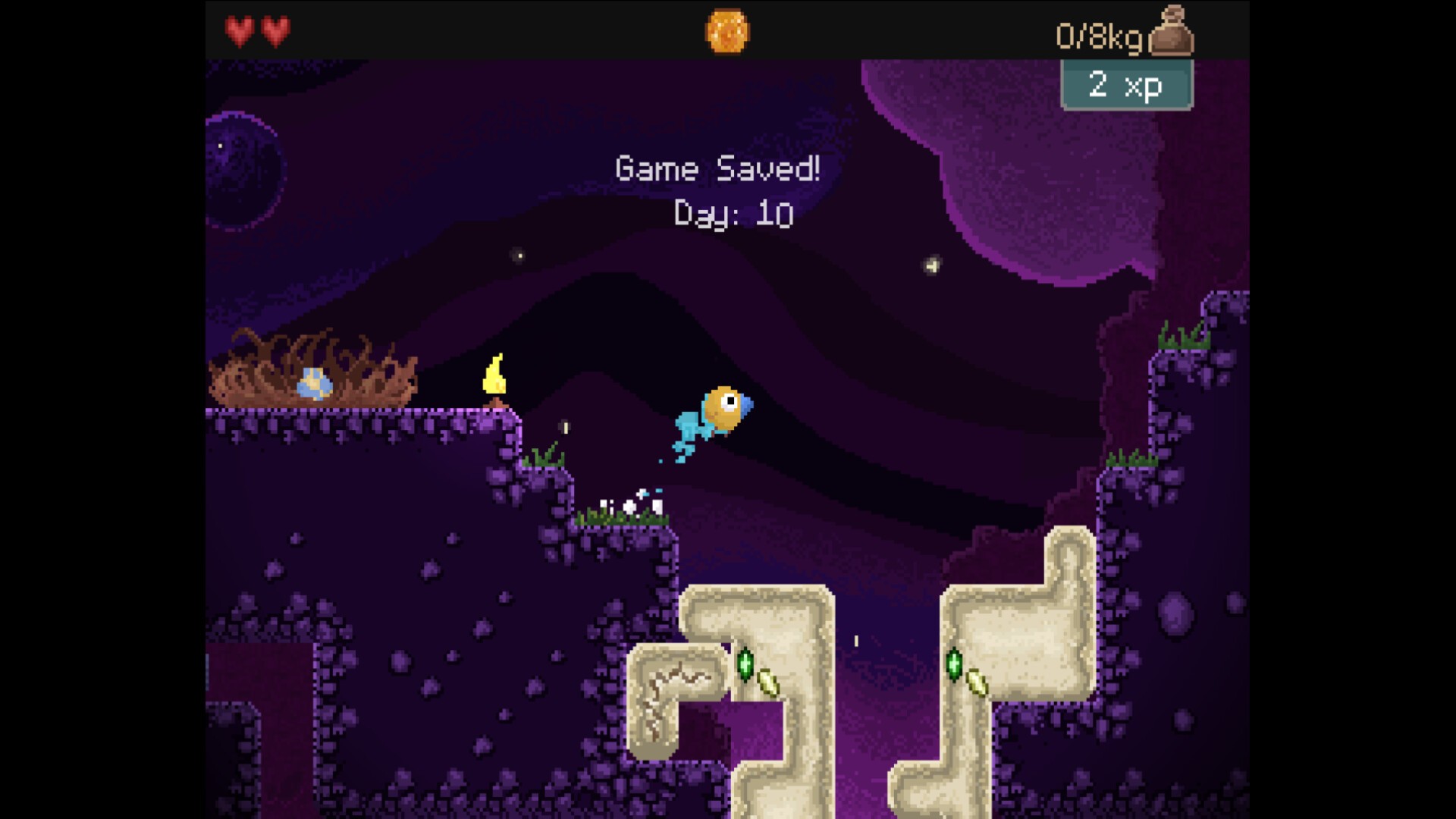 钻头鸟/Drill Bird_0