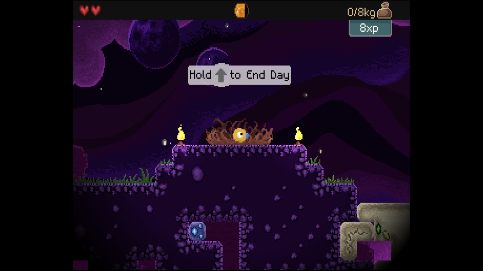 钻头鸟/Drill Bird_2