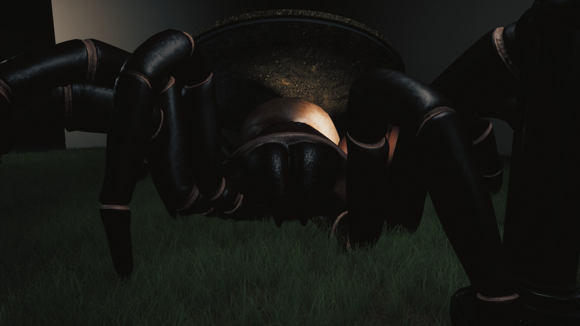 巨蛛猎手/Huntsman_5