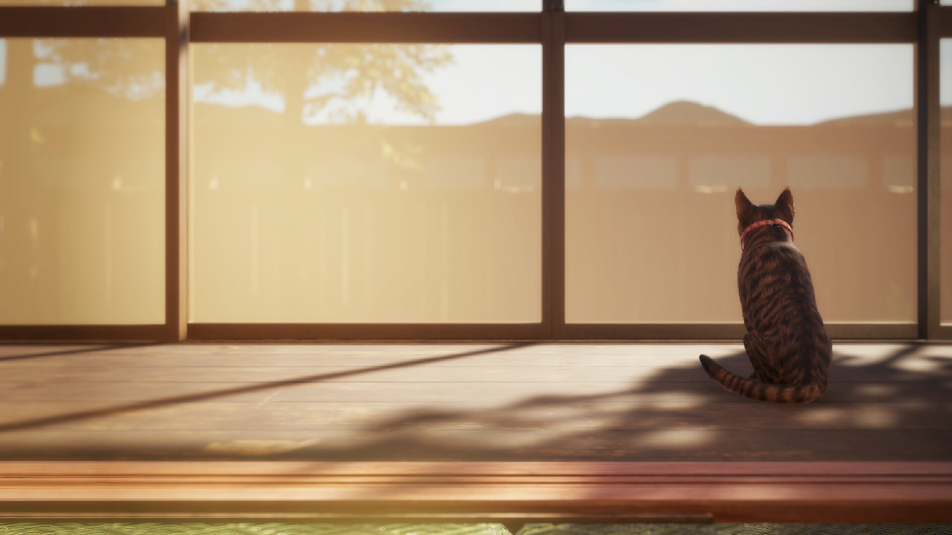 猫还在逃吗？/Still It Runs_0