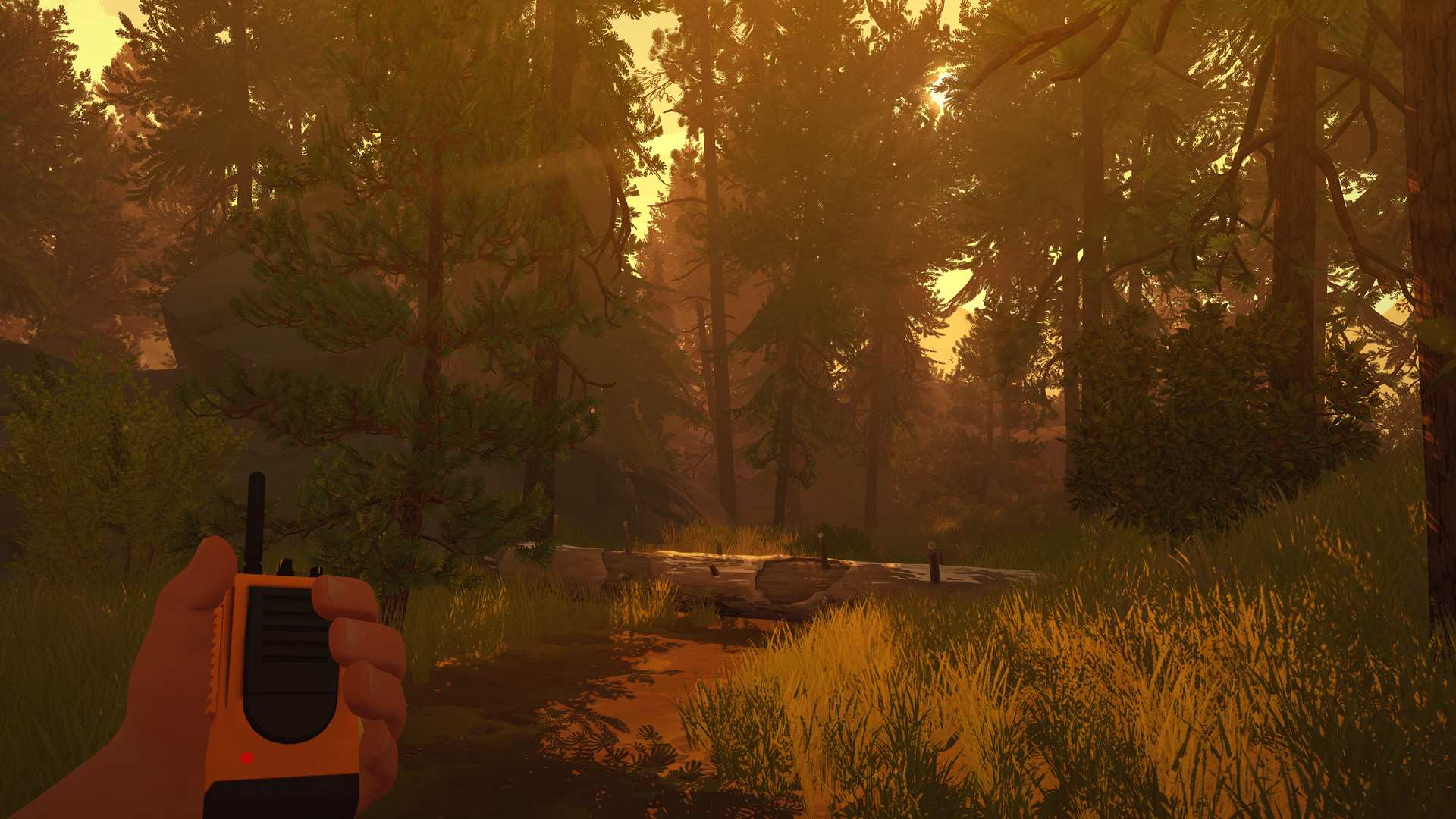 看火人/Firewatch_2