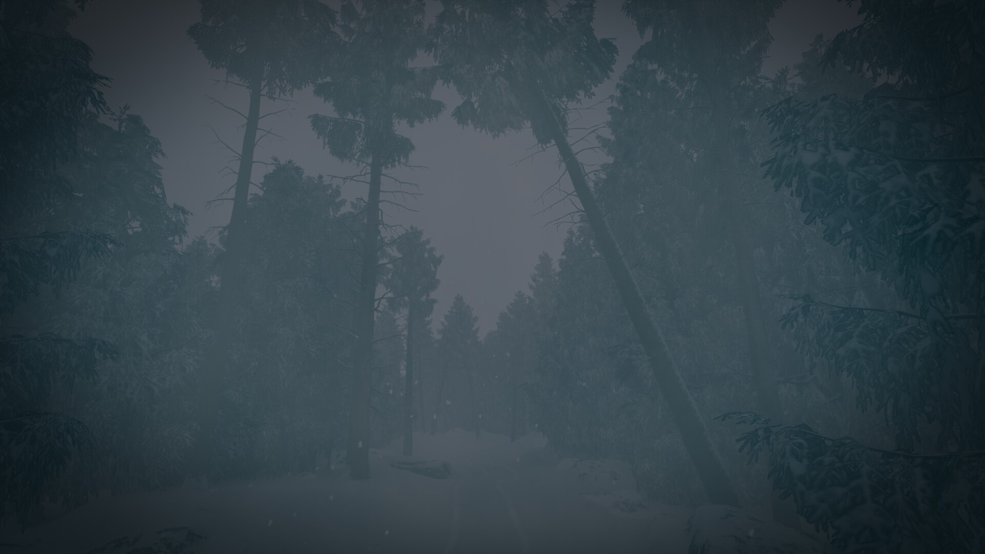 最后的滑雪之旅/The Last Ski Trip_0