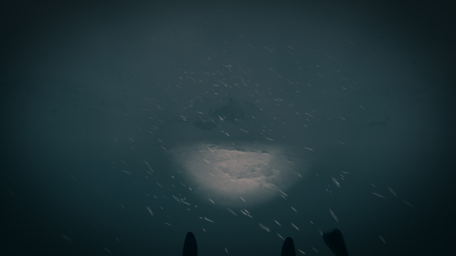 最后的滑雪之旅/The Last Ski Trip_3