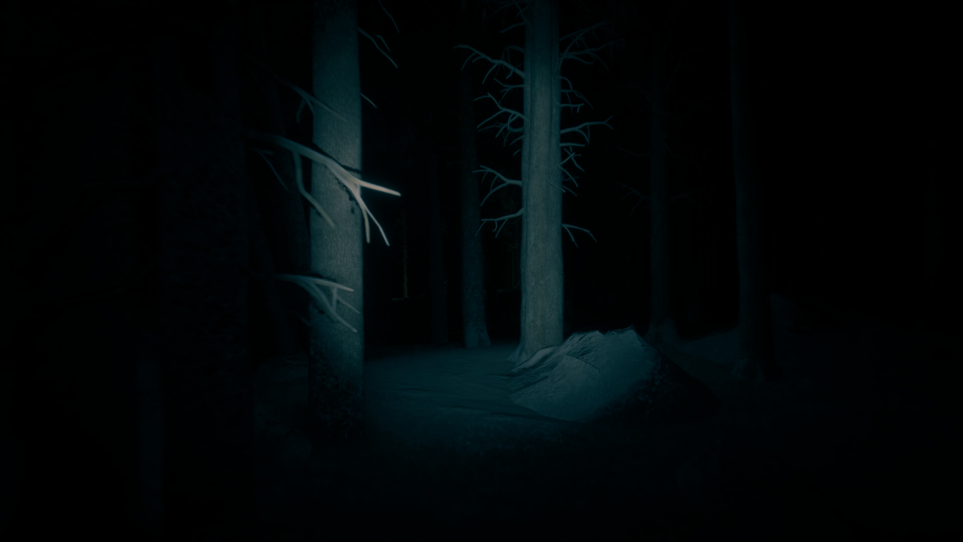 最后的滑雪之旅/The Last Ski Trip_2