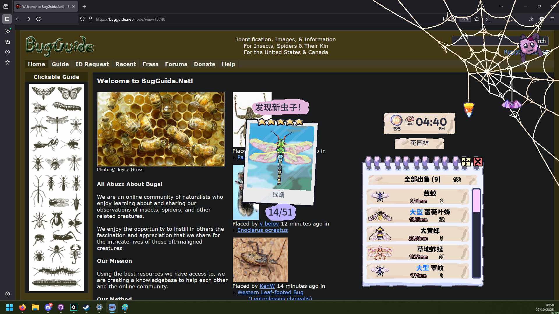 我的小小蜘蛛/My Little Spider_3