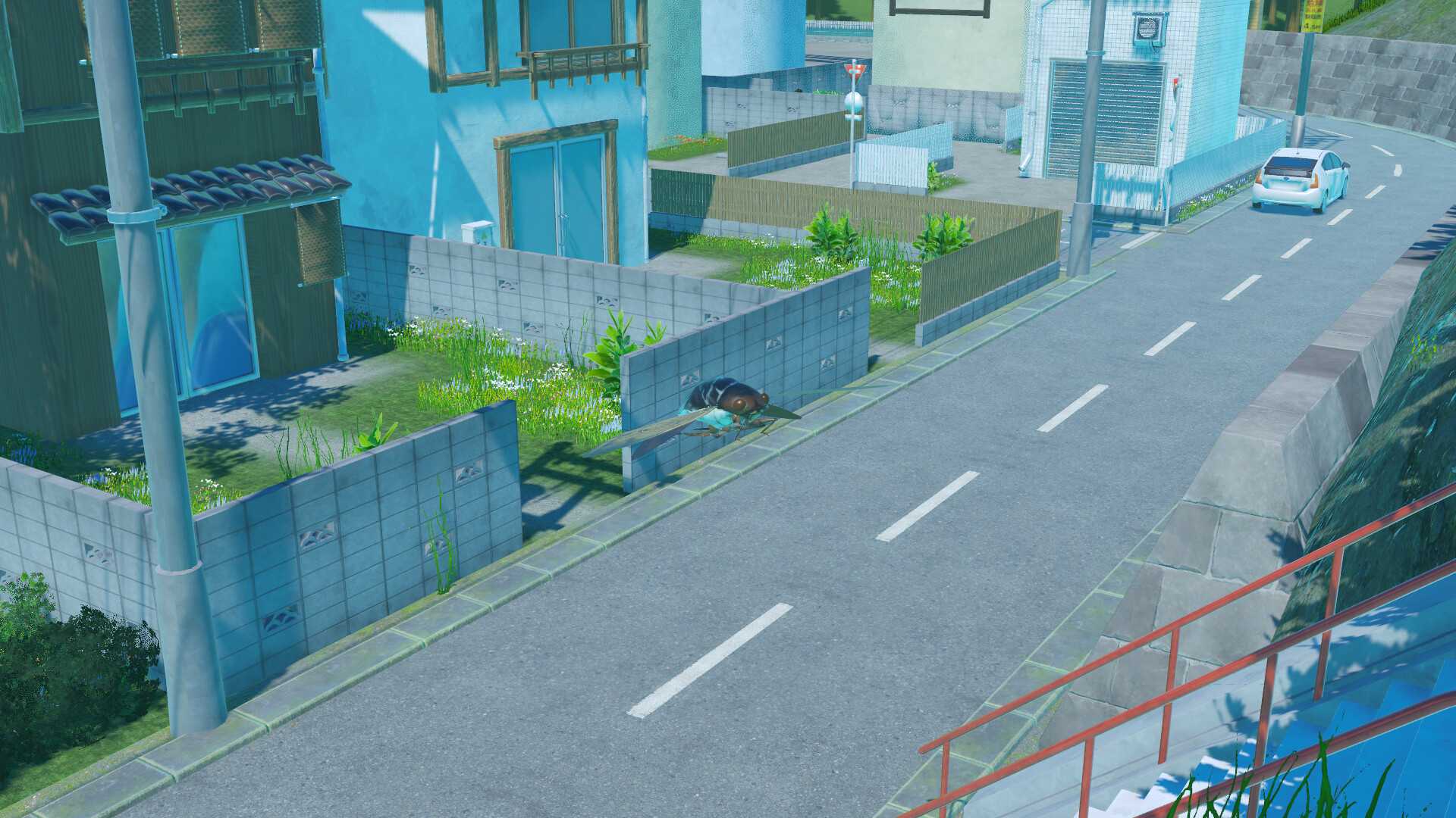 蝉之生存/CICADA_5