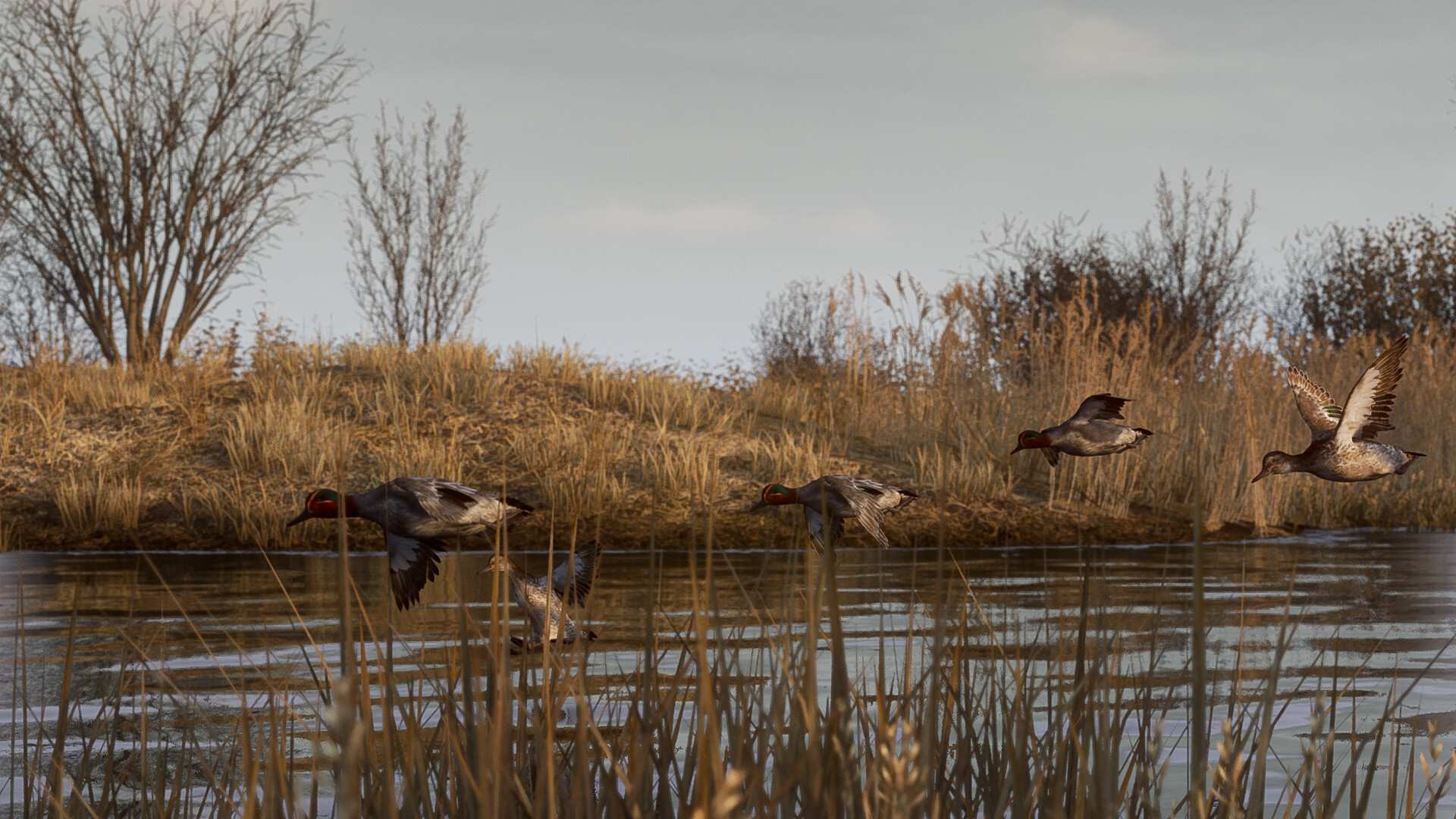 BULT：狩猎模拟器/BULT: Hunting simulator_0