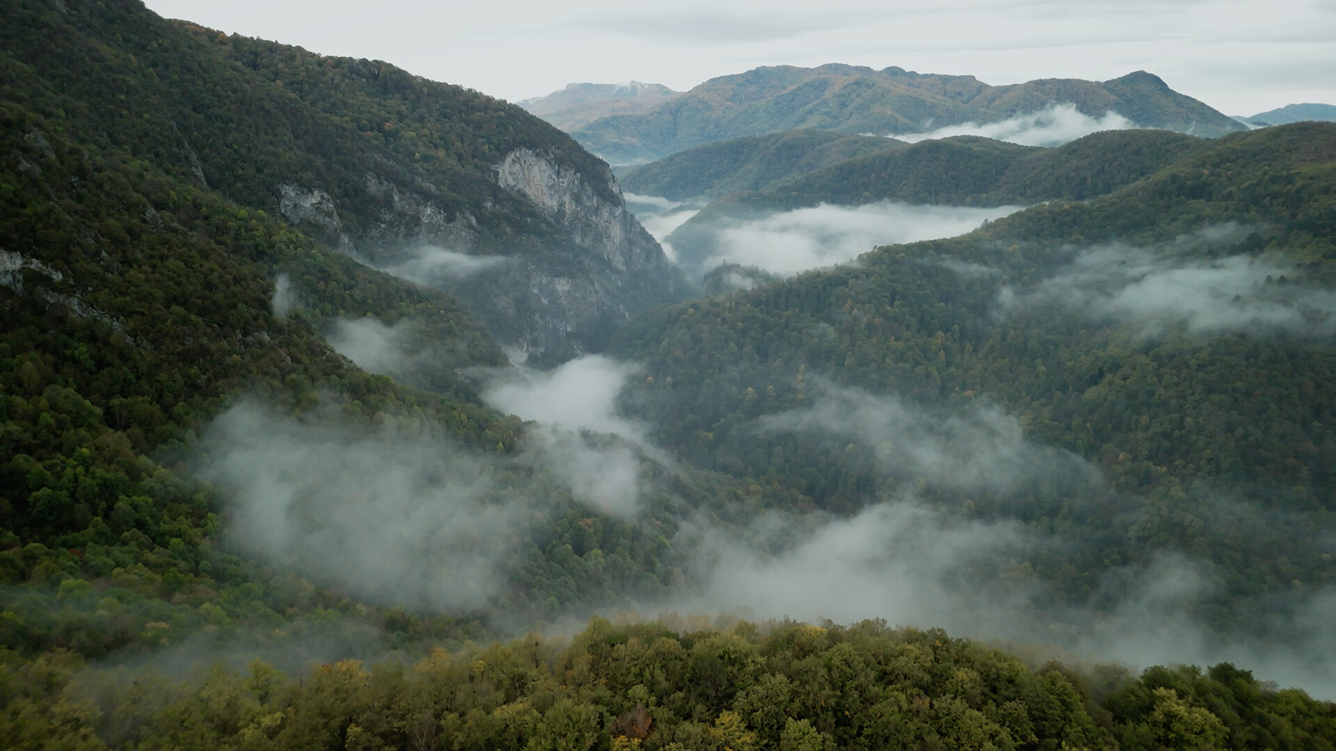 无言之林/Wordless Forest_3