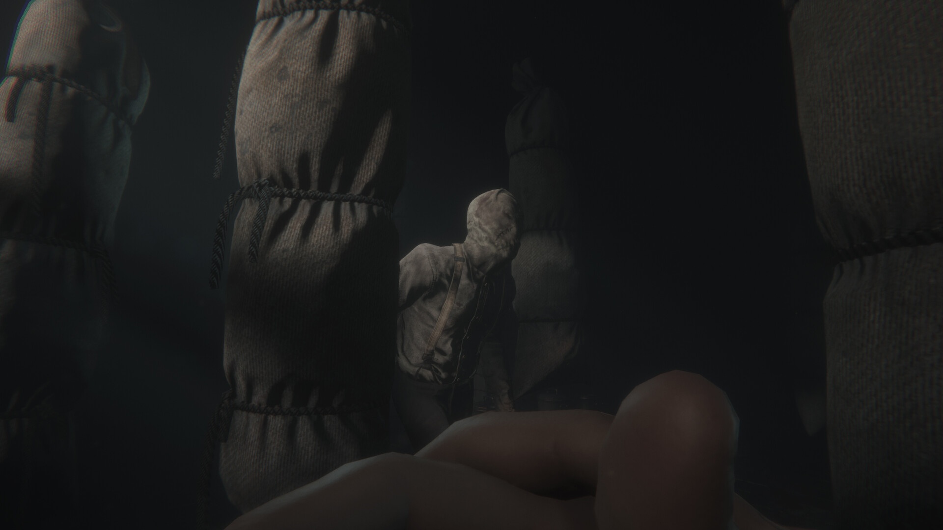 斯盖尔之女VR版/Maid of Sker VR_2