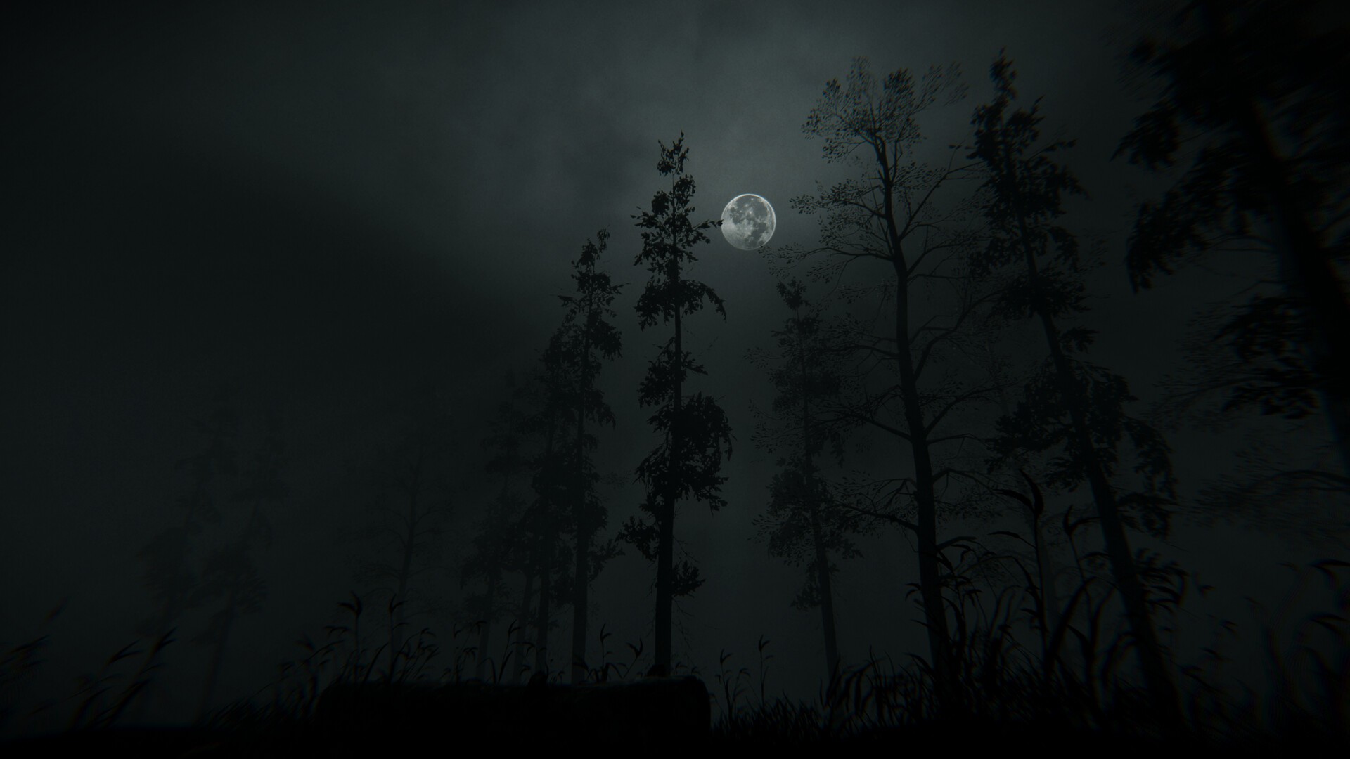 枯萎避风港/Withered Haven_4