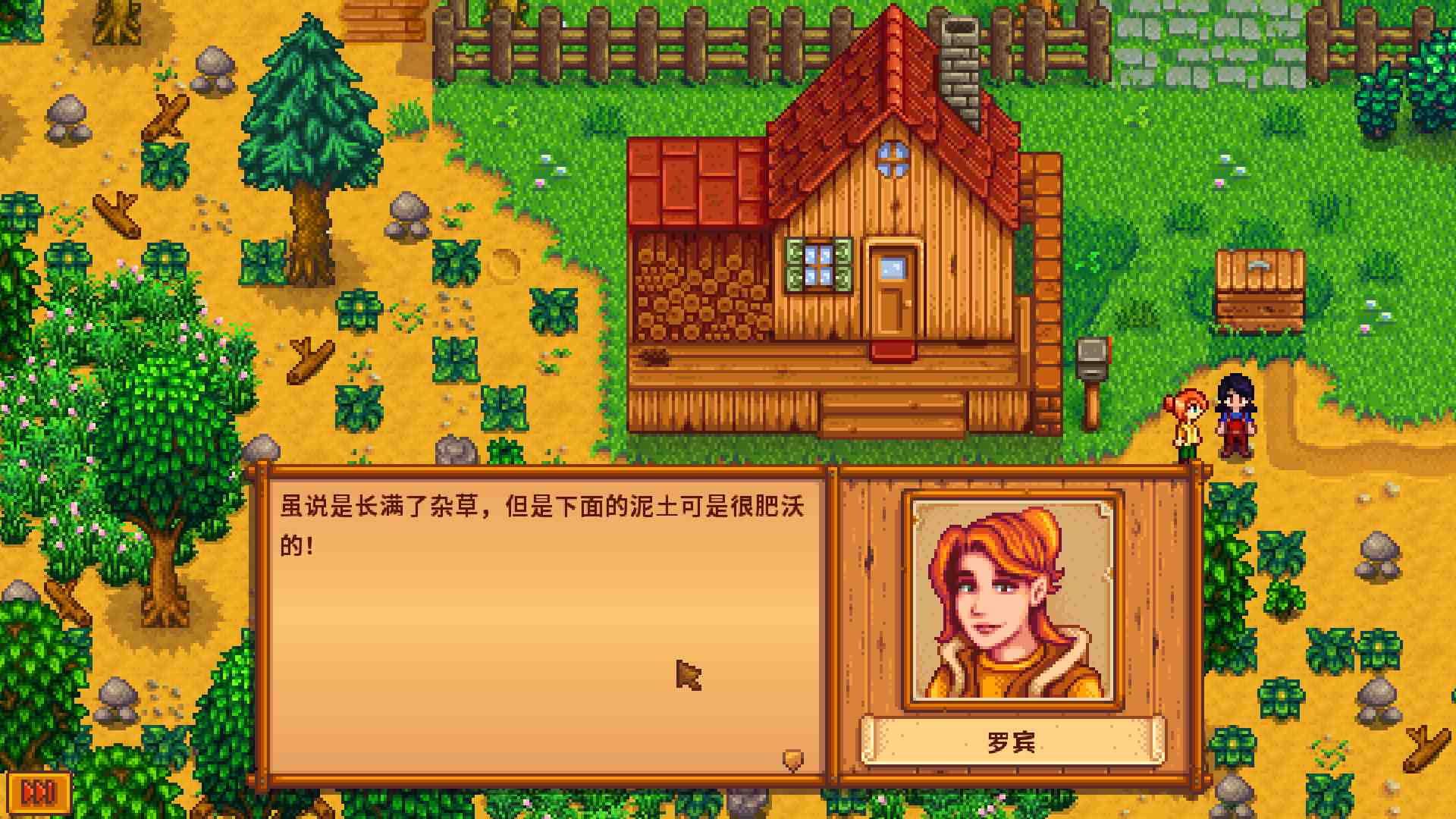 星露谷物语/Stardew Valley_4