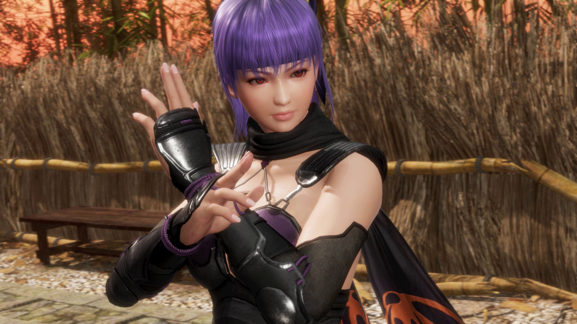 死或生6：最后一战/DEAD OR ALIVE 6 Last Round_2
