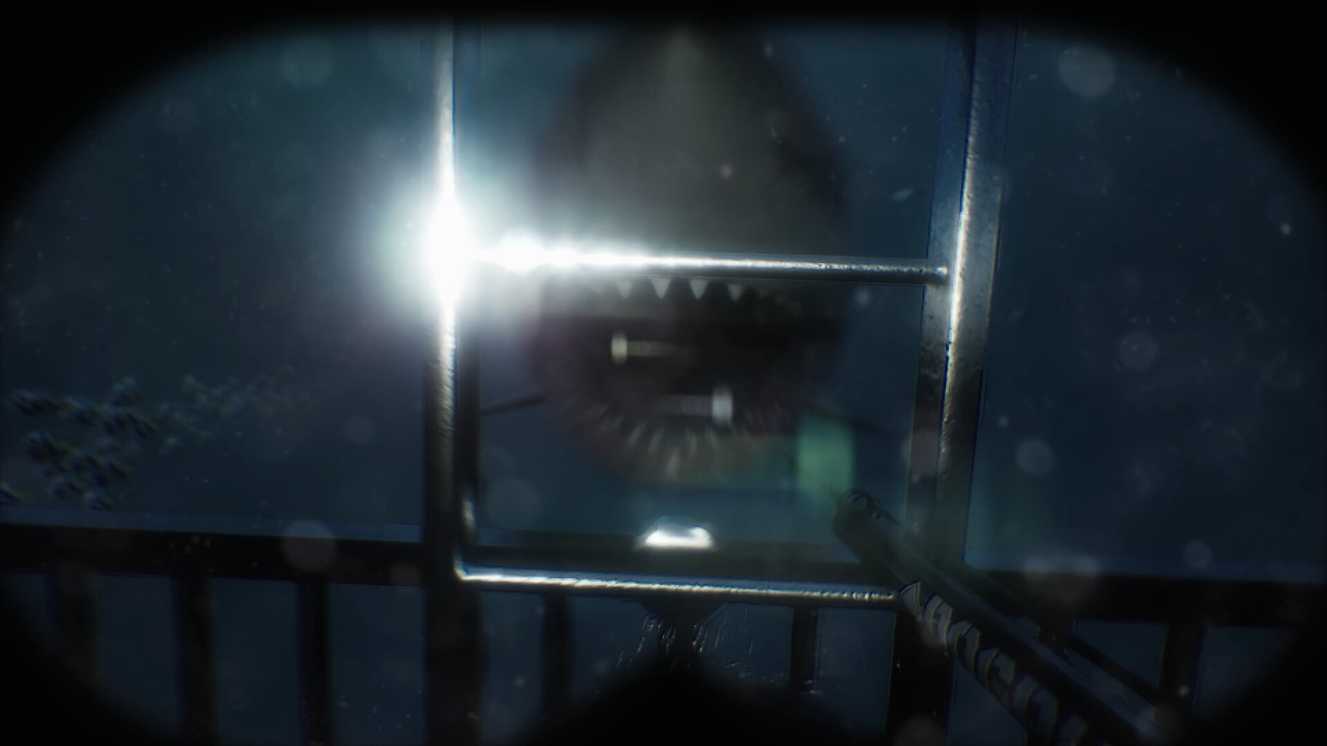 恐怖洞穴潜水/Scary Cave Diving_5
