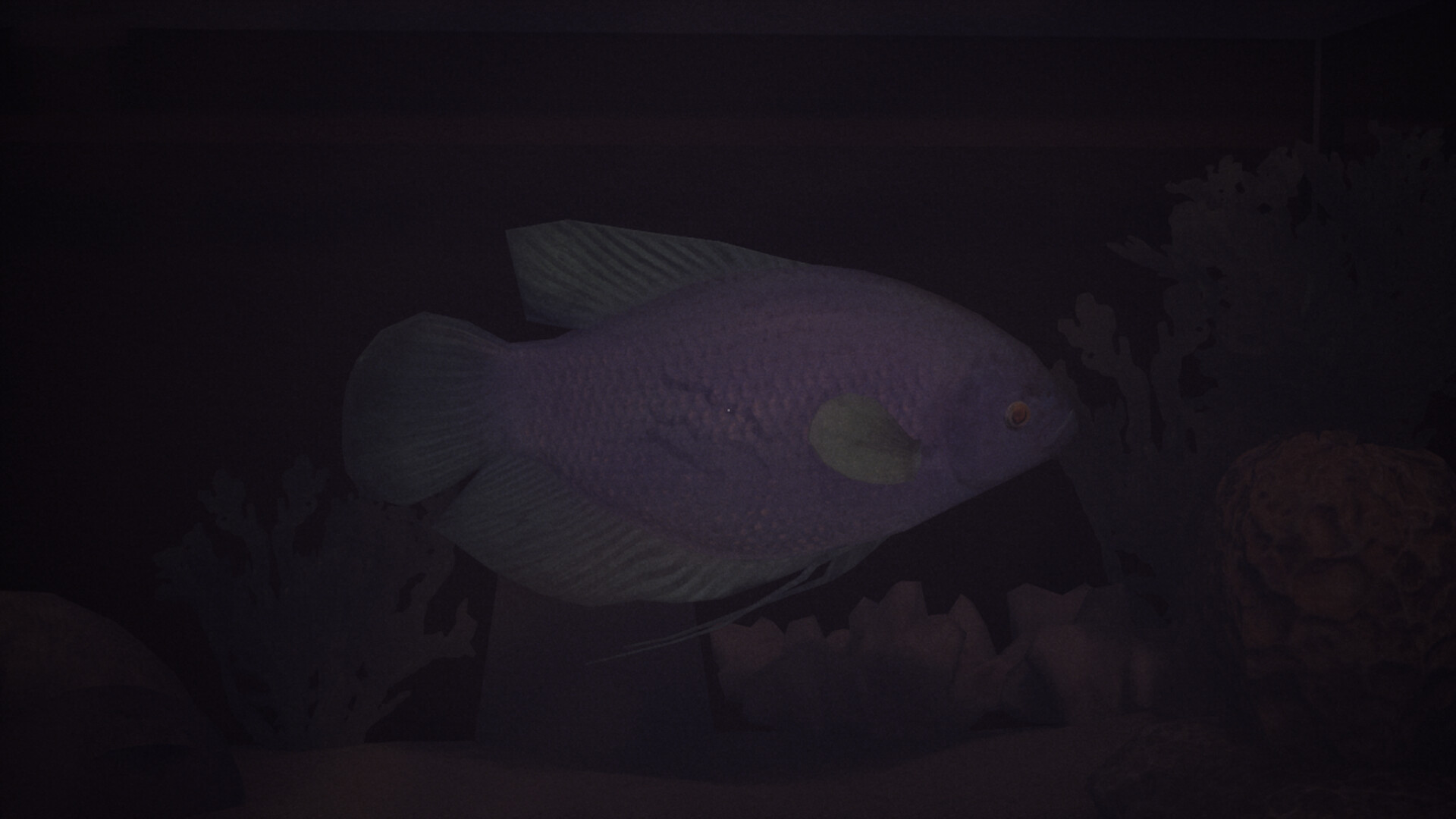 哈鲁:金鱼/Halu - The Fish_5