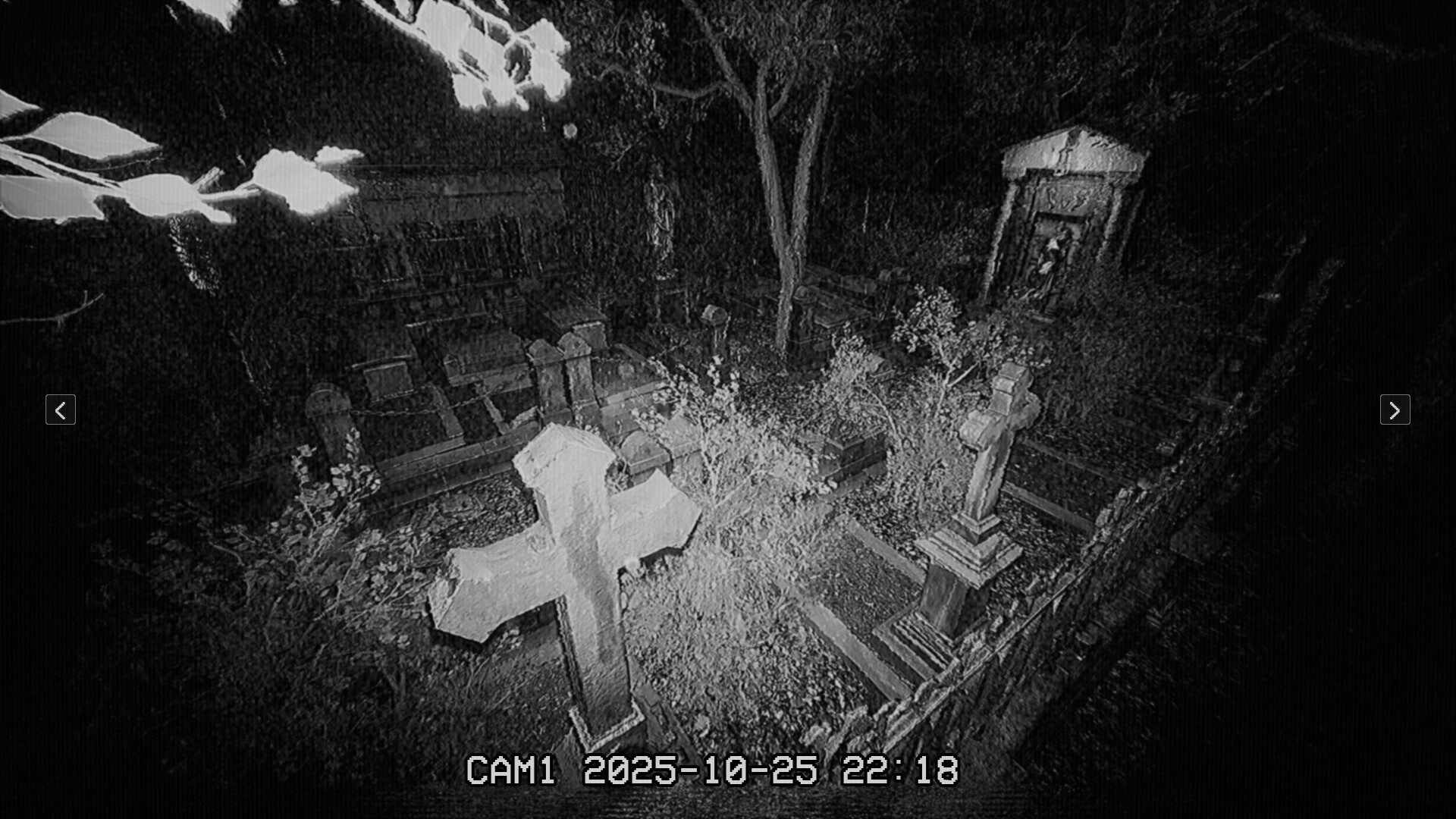 墓地夜班/The Cemetery Shift_0