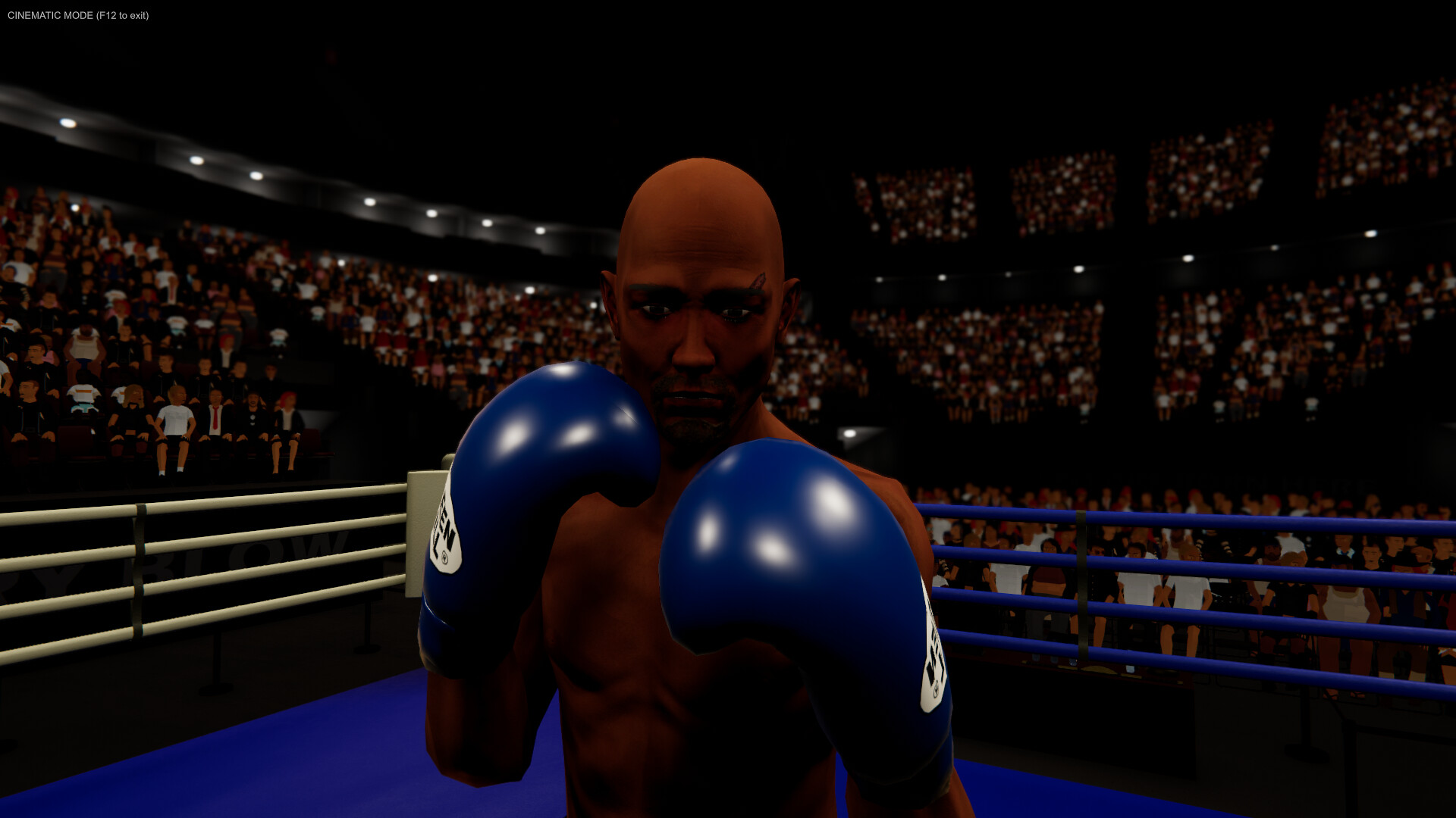 拳台王者：拳击大亨/Corner King: Boxing Tycoon_4