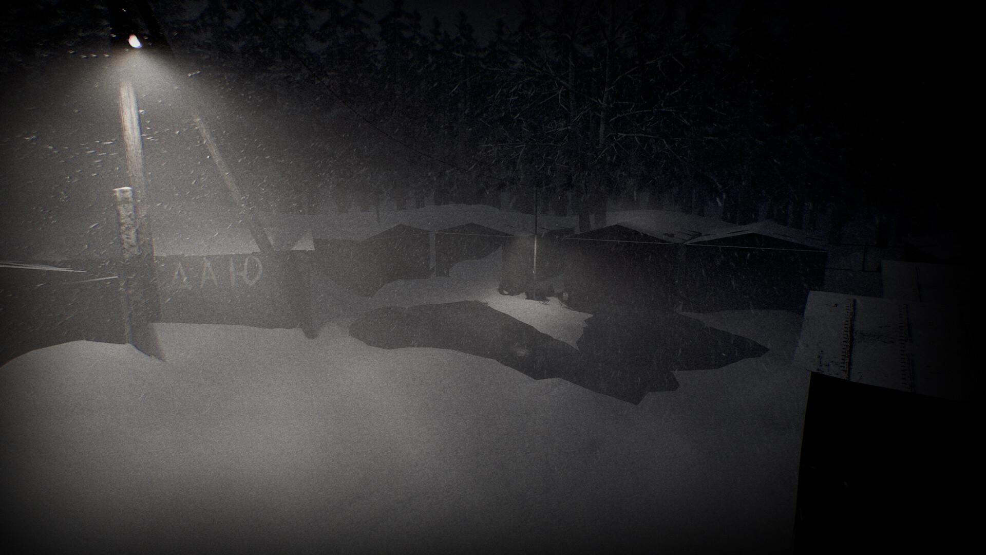 苍白沉寂/White Silence_3