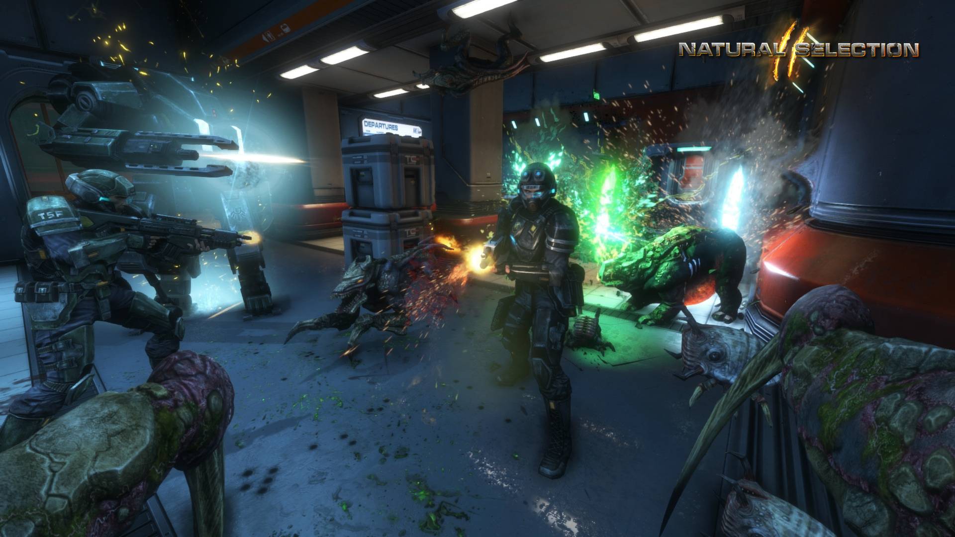 物竞天择2/Natural Selection 2_2