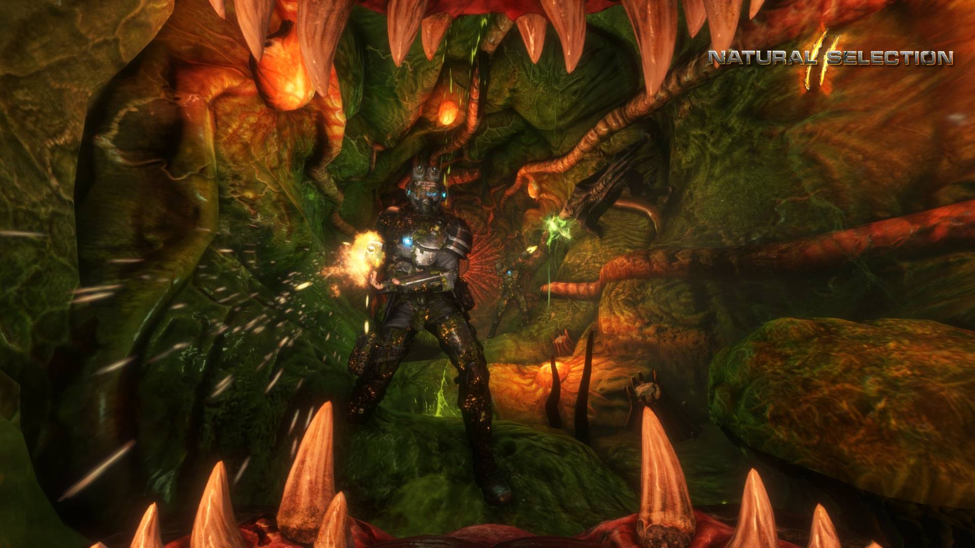 物竞天择2/Natural Selection 2_1